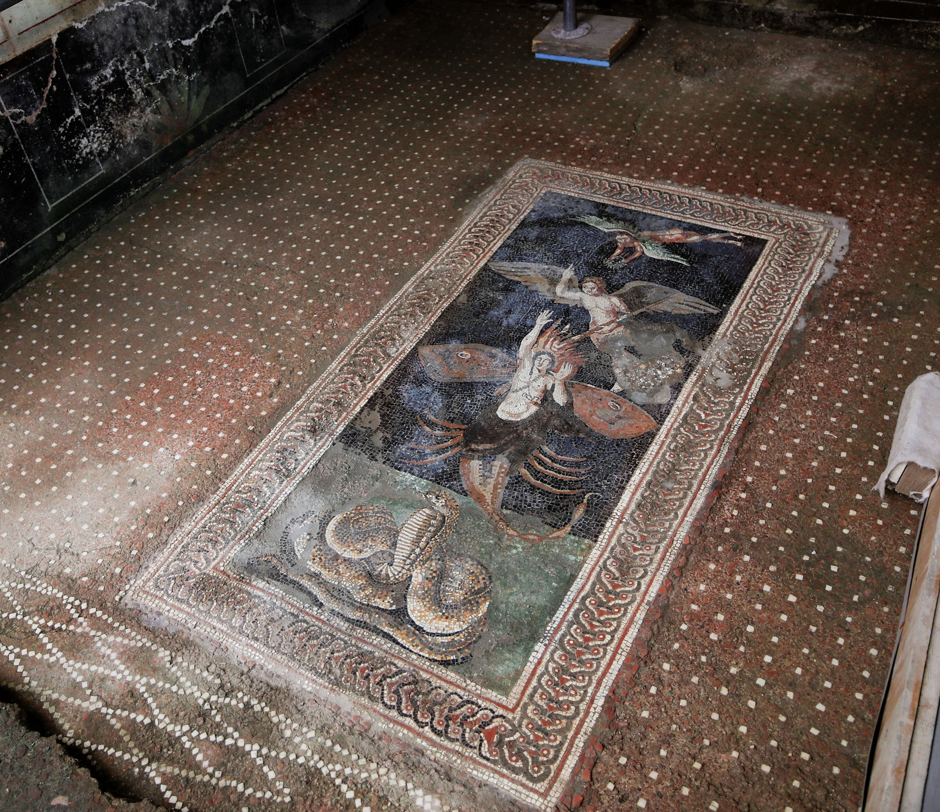 a large mosaic on the floor