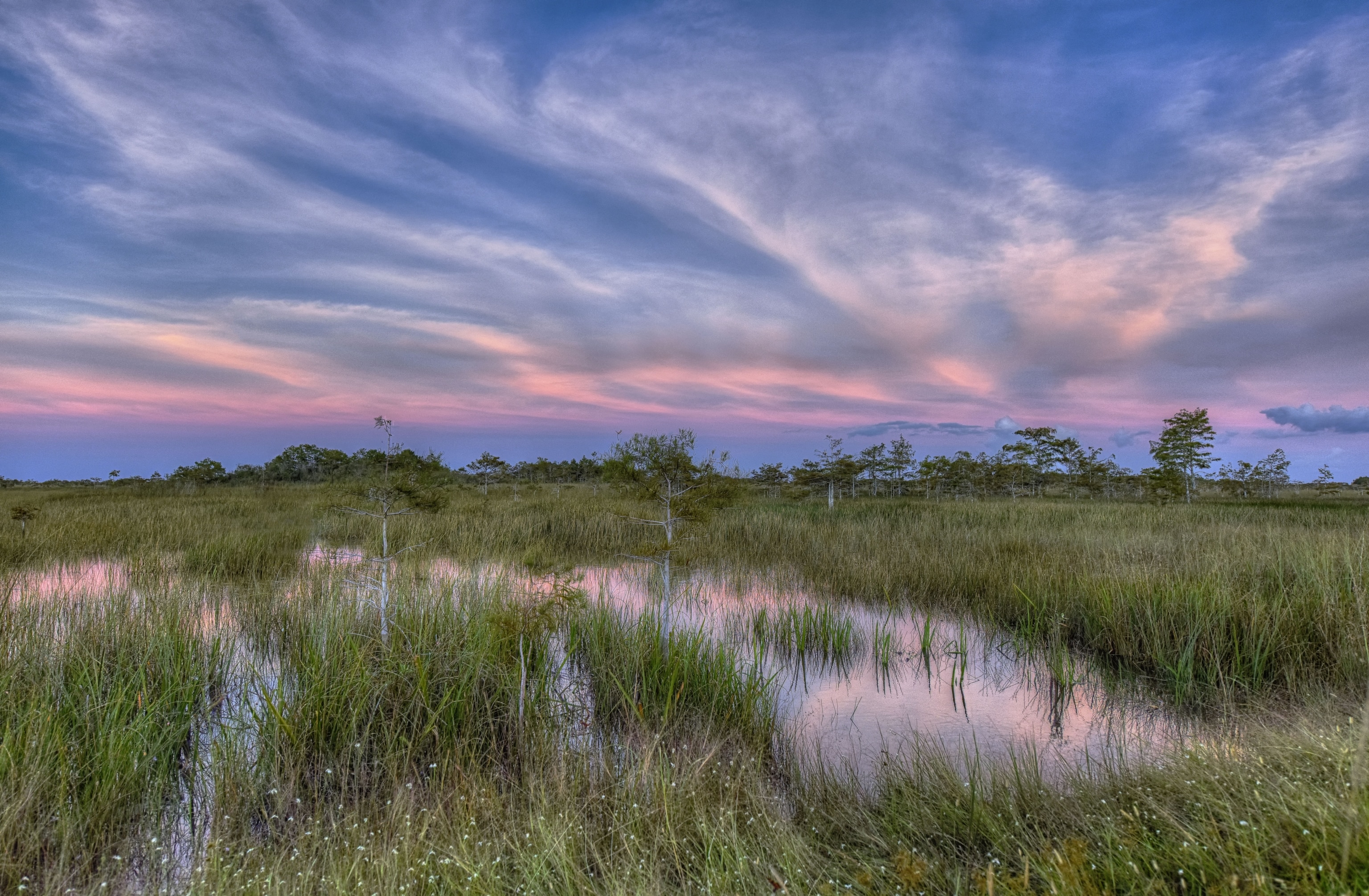 Sunset in the Everglades with reflections in the grass-fillled water