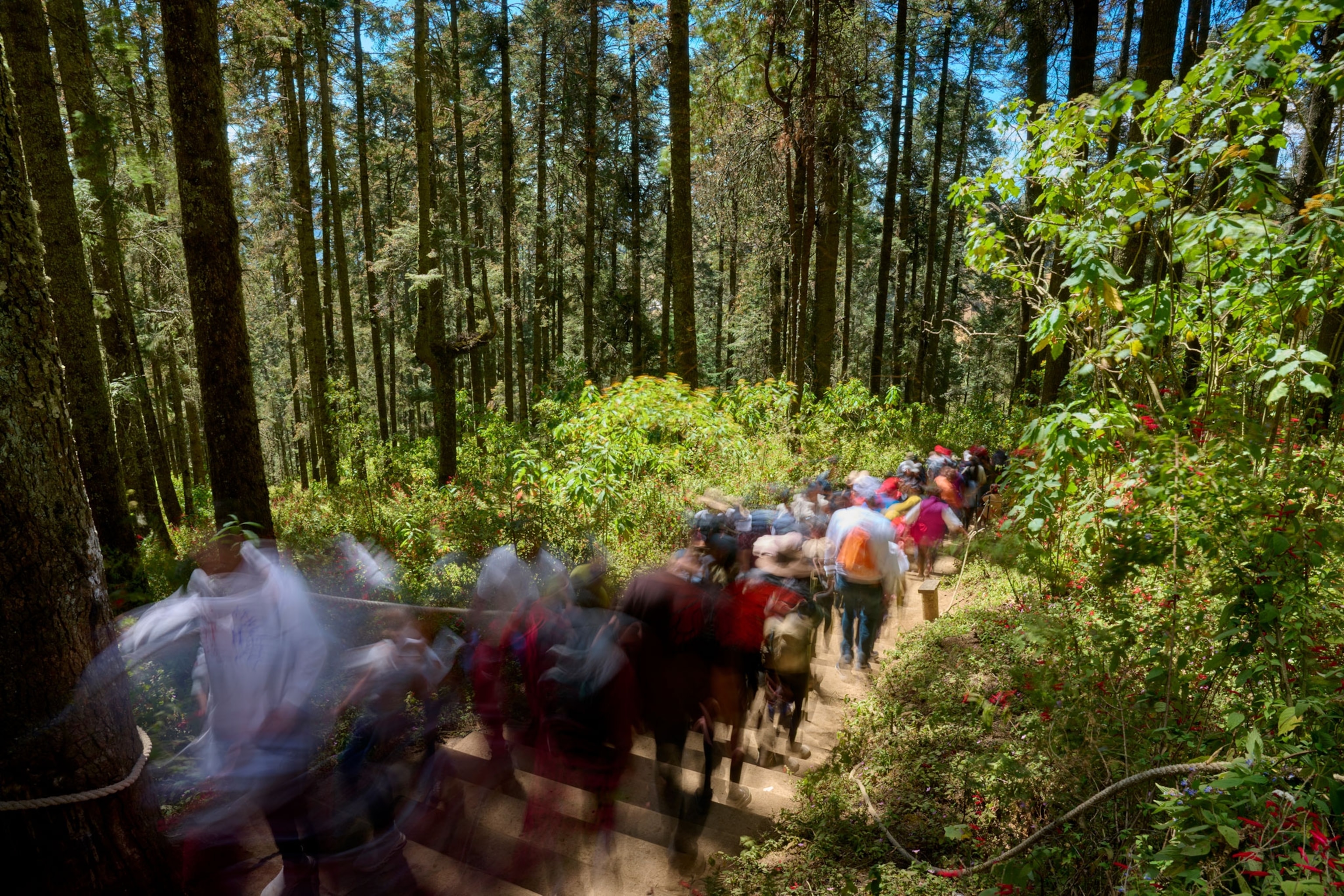 Slow shutter speed shots of tourists at Santuario El Rosario walking through forest.