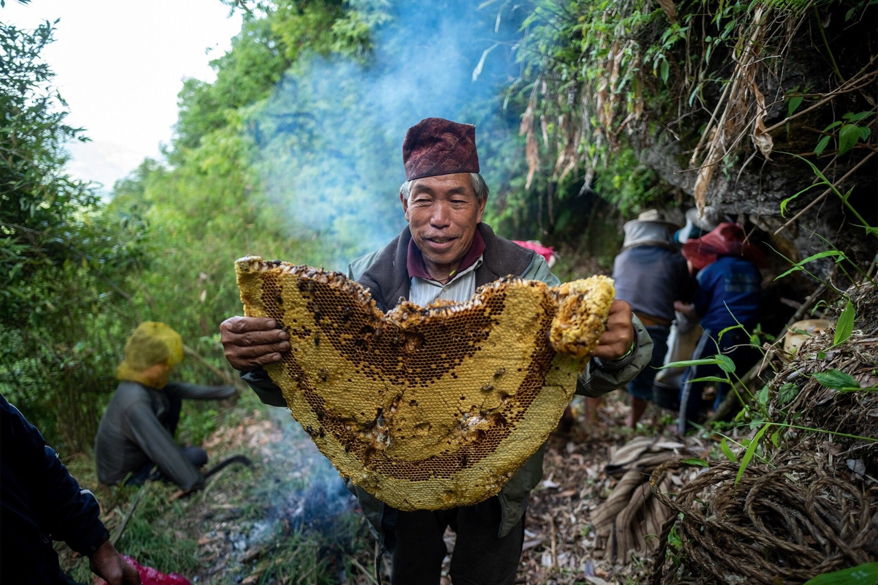 Most senior honey hunter holding up a honey comb