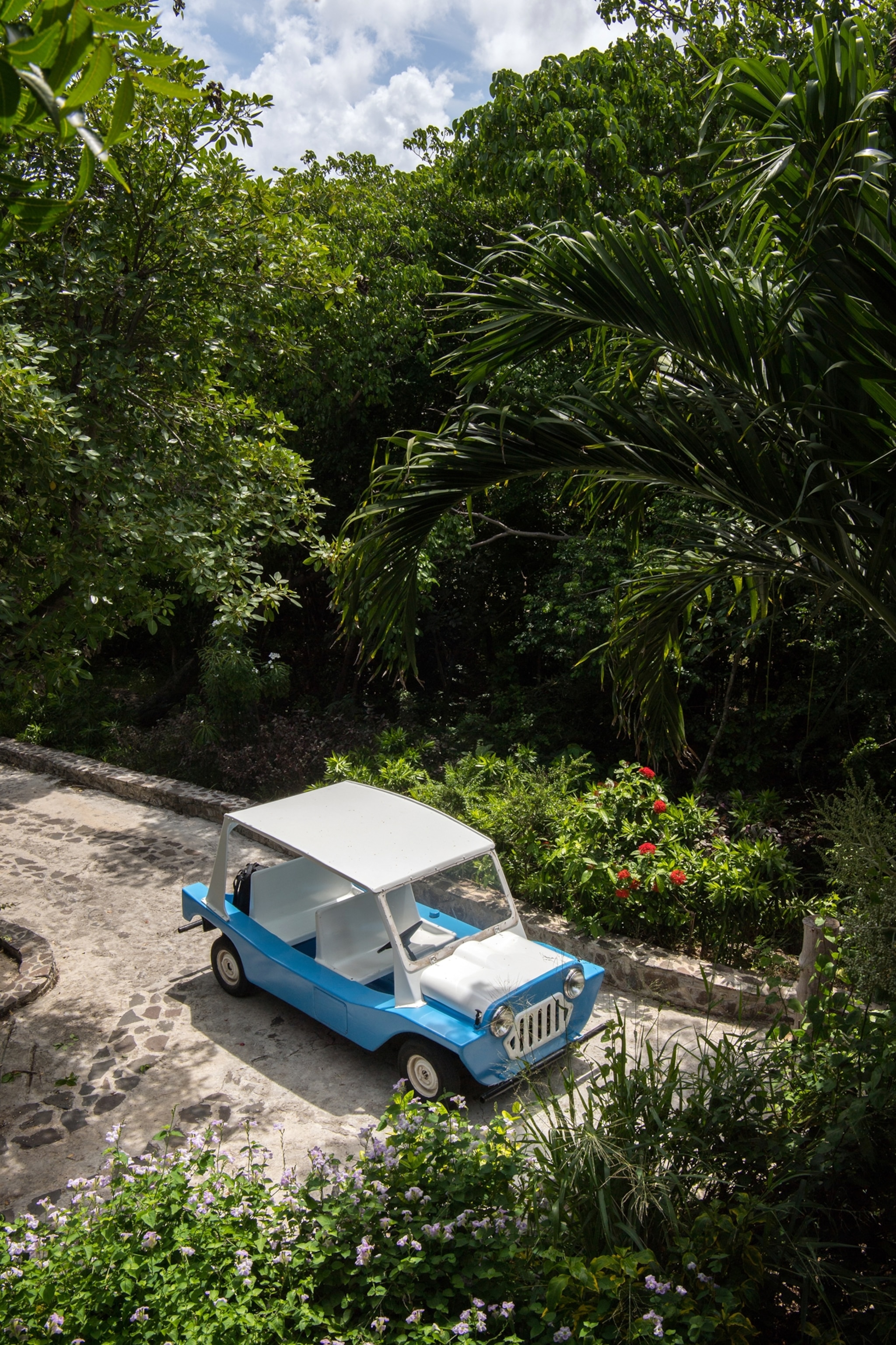 A small blue and white vehicle parked on a stone walkway among vibrant green fauna and flora.