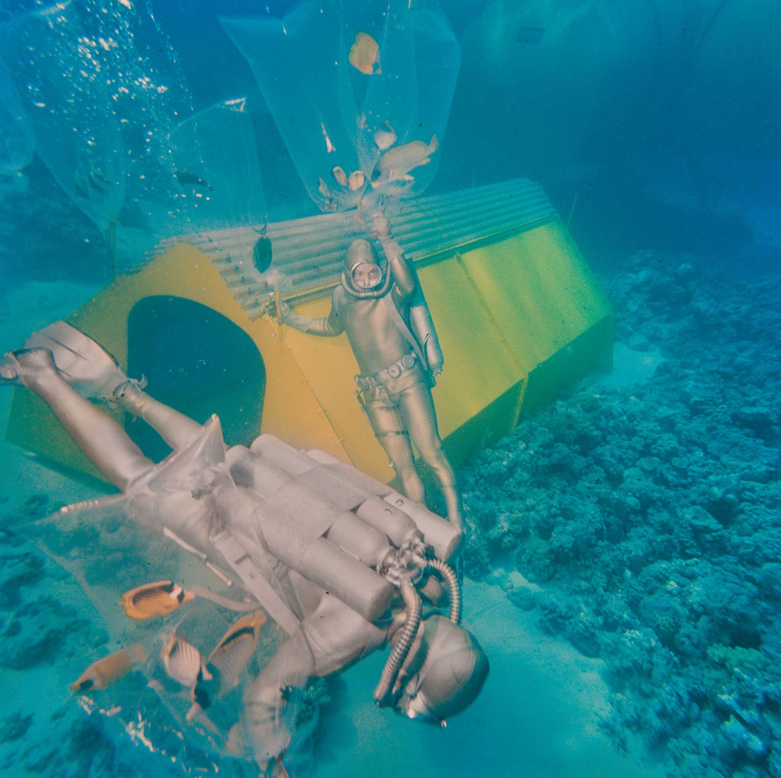 photo of two divers in silver suits, holding bags of collected fish.
