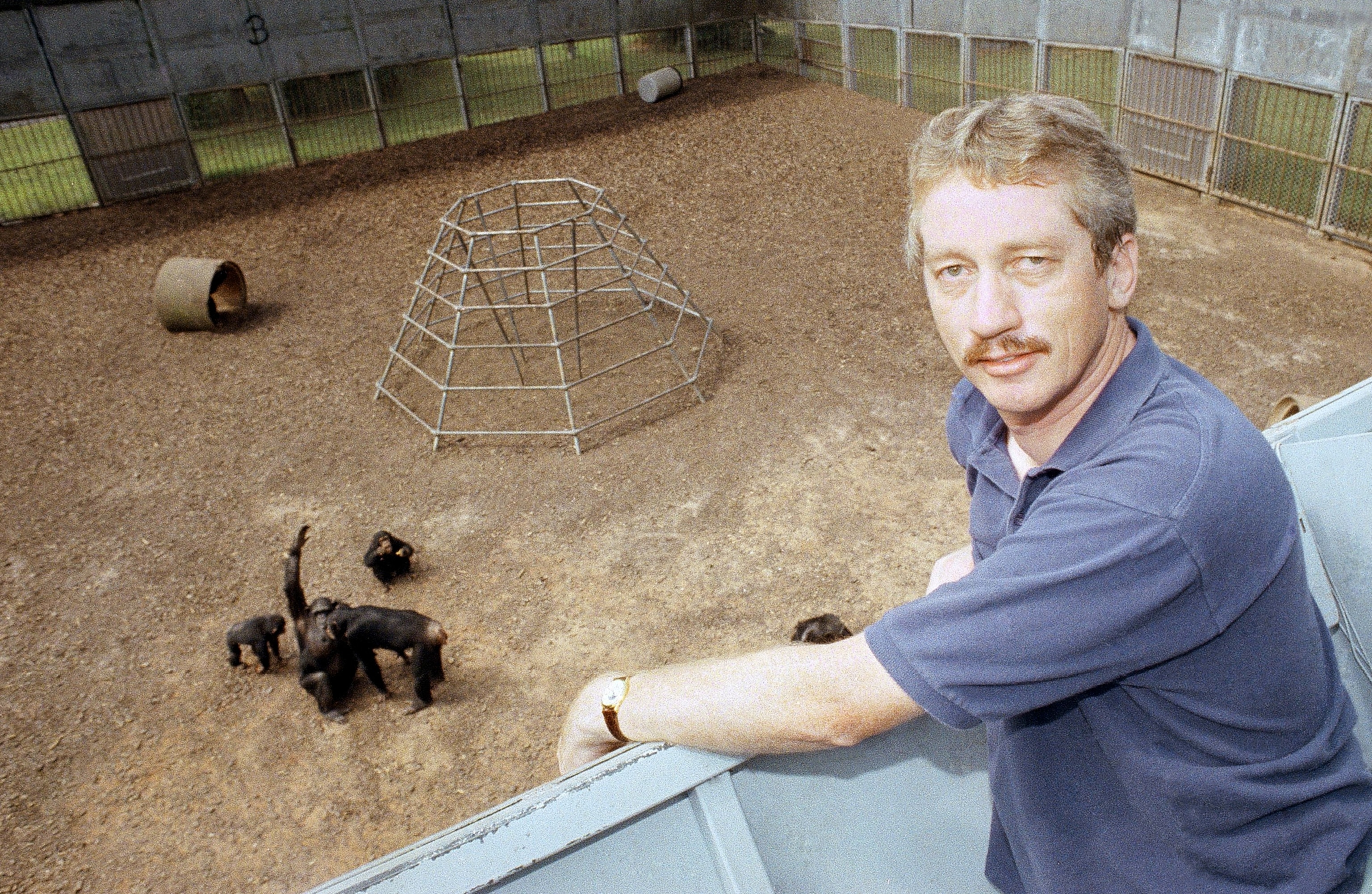 Picture of Frans de Waal standing on a viewing platform above a group of primates under study at The Yerkes Regional Primate Center.
