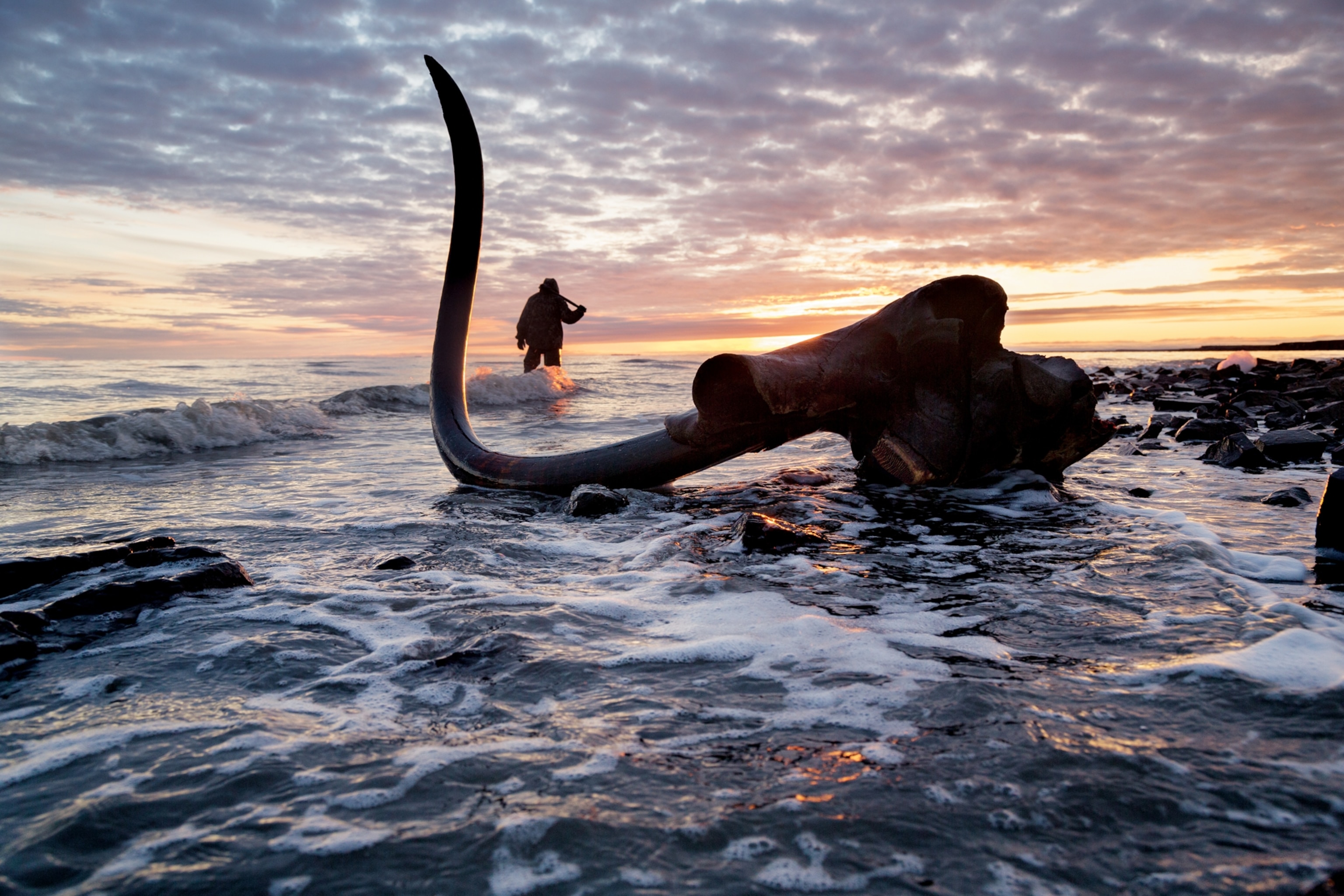Mammoth