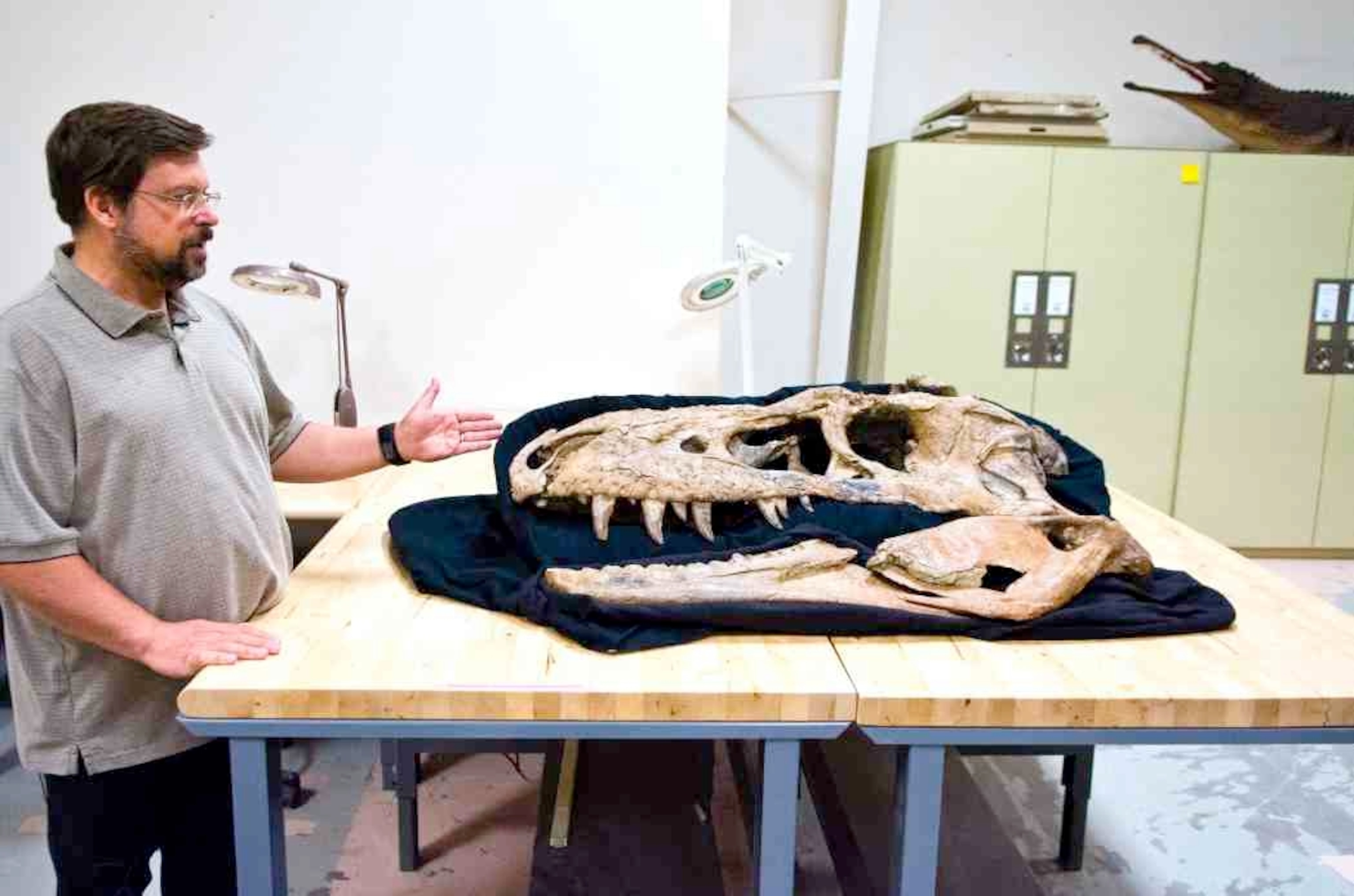 A man points towards a dinosuar skull