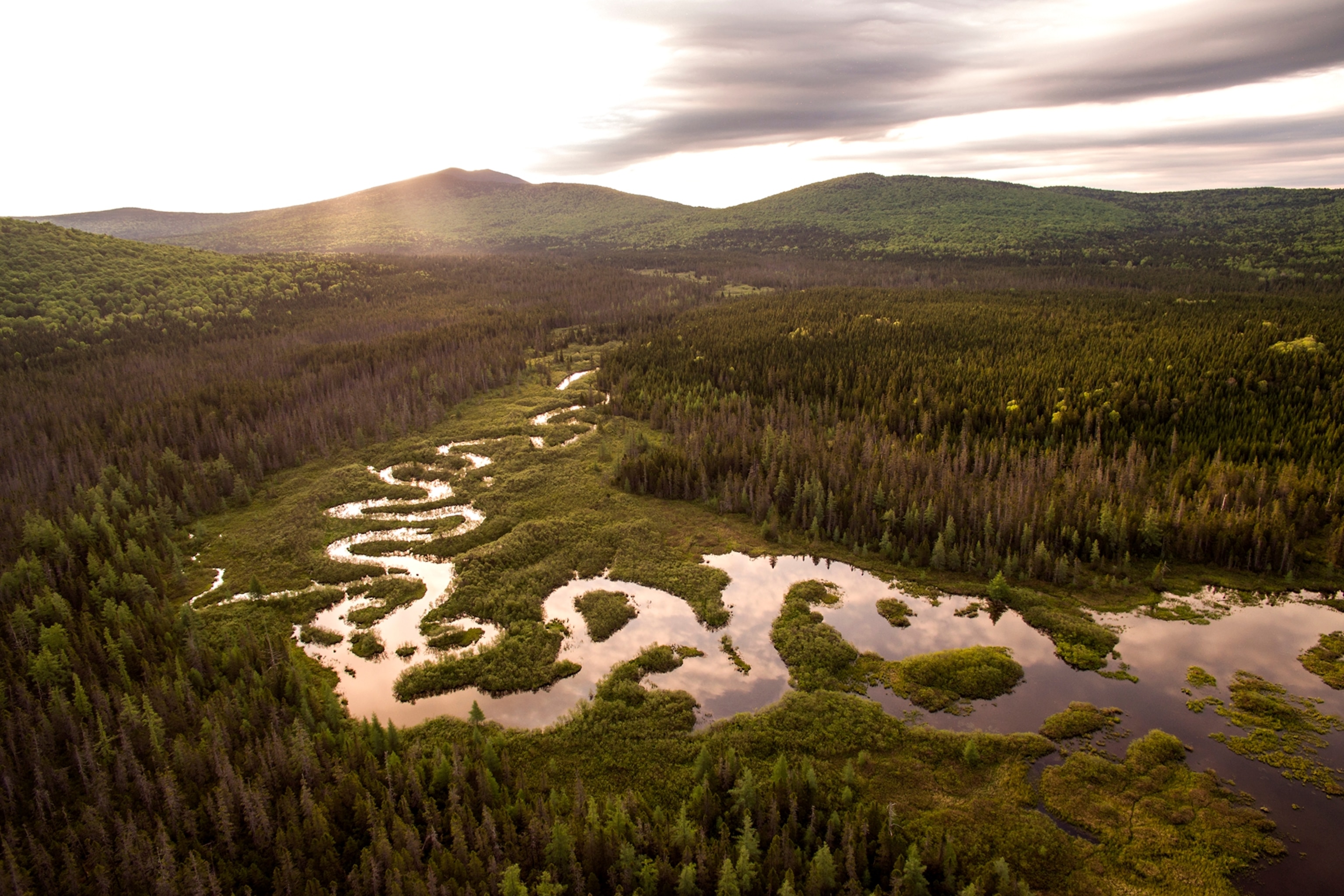 an aerial of East Inlet Flowage, Pittsburg NH