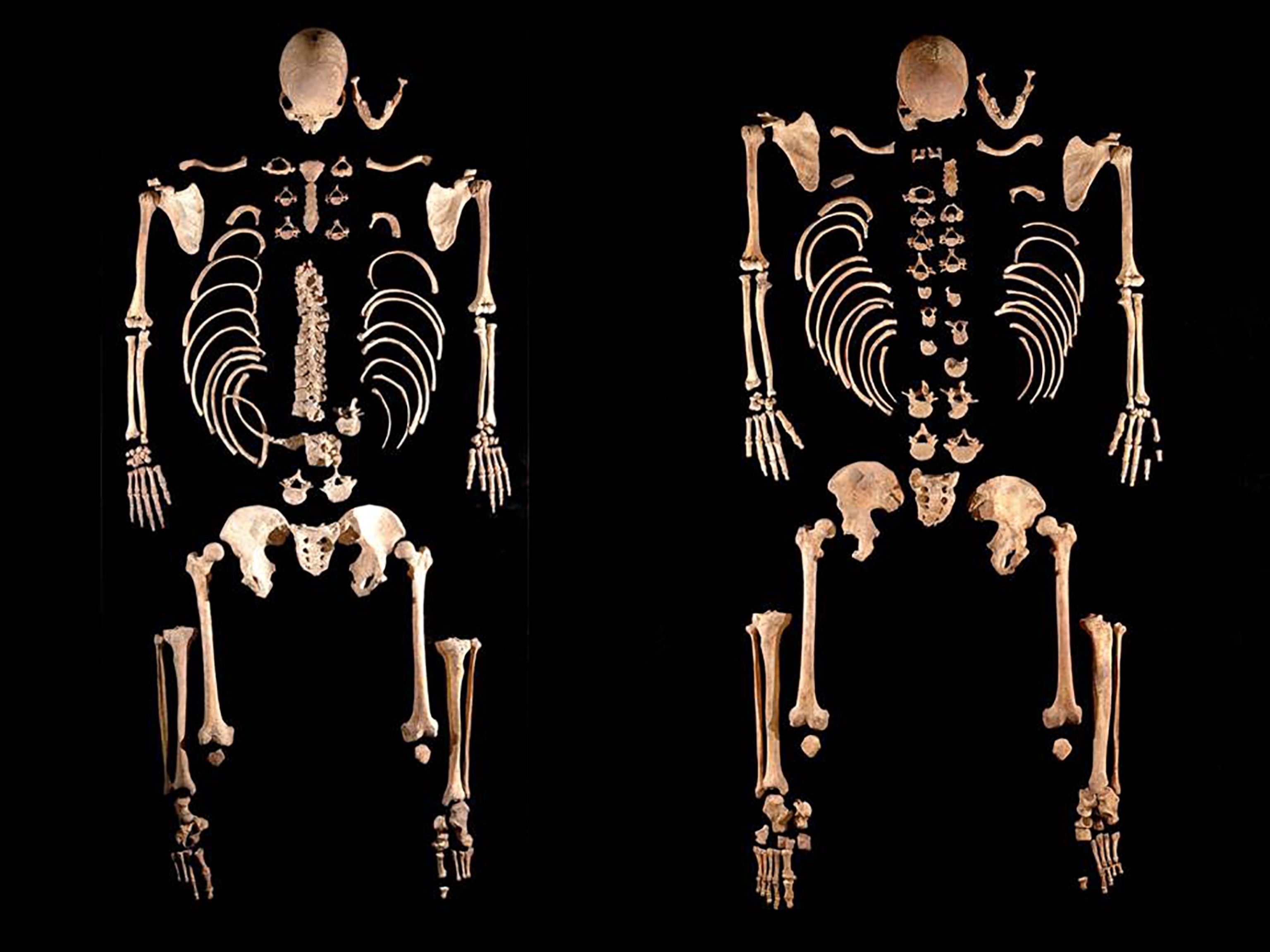La Braña 1 and 2 Mesolithic hunter-gatherers (Leon, Spain), found to be brothers.