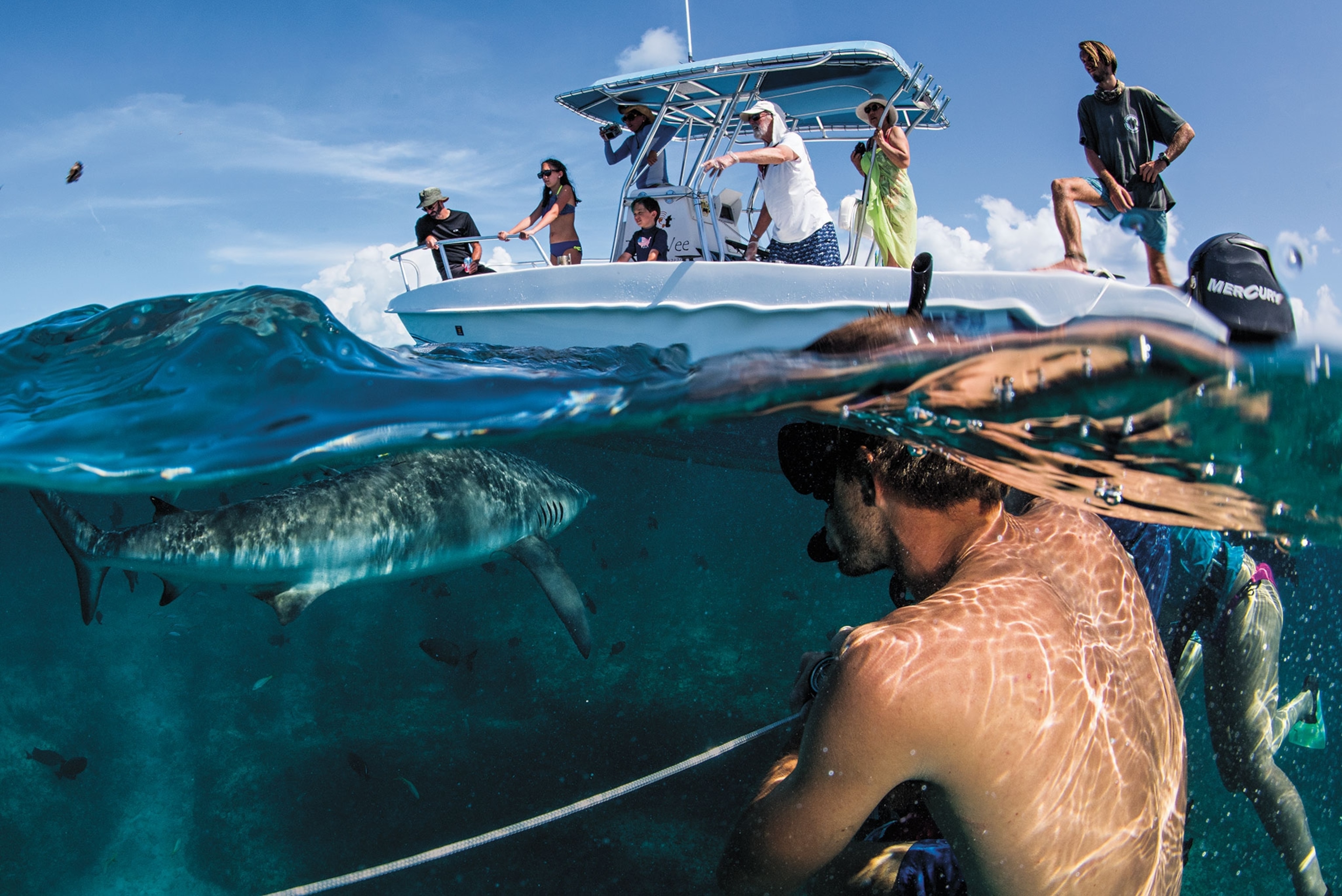 in the foreground, a man with snorkle gear swims near a boat with people on it. The frame is half below water and you can see a shark swimming towards the boat.