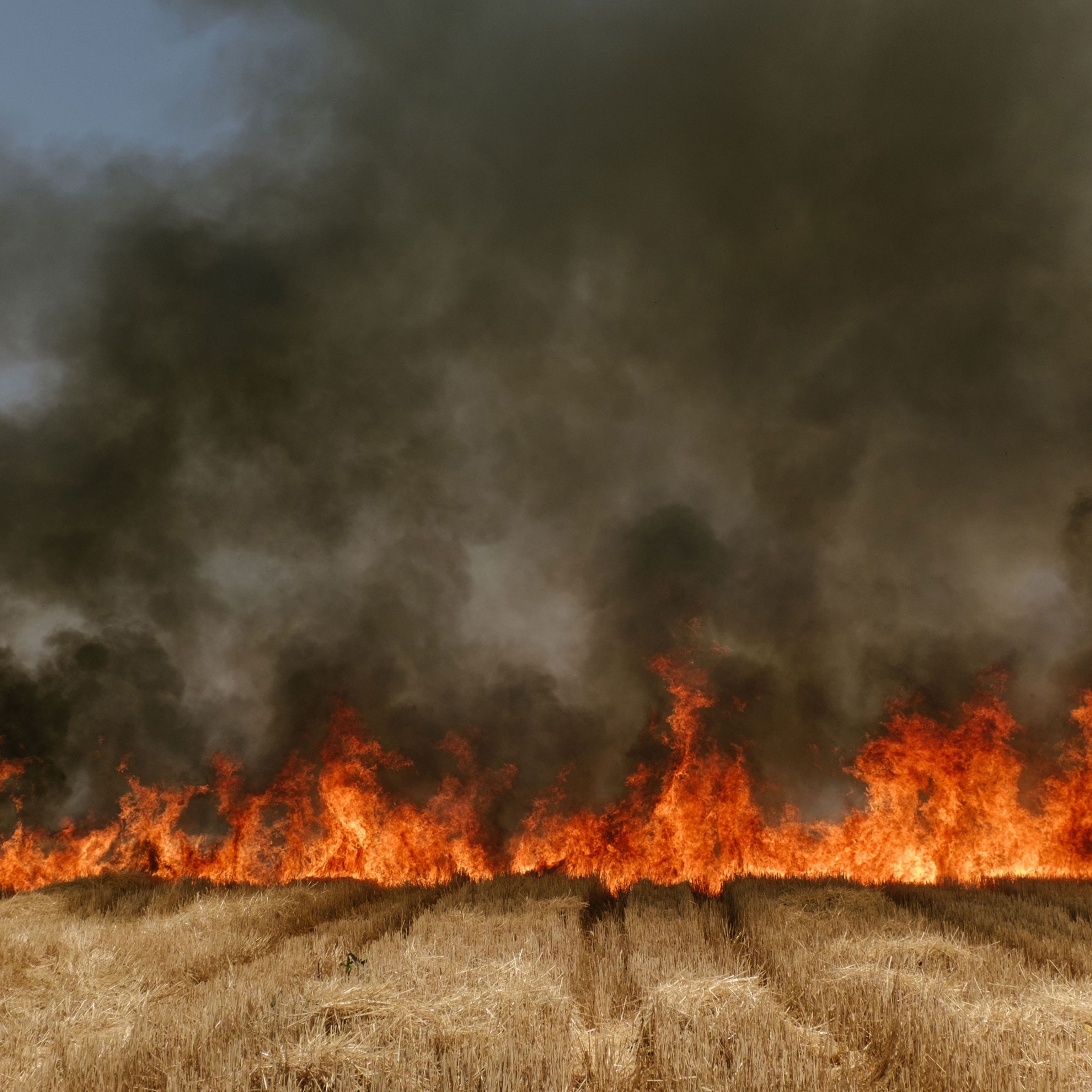 a wheat field fire