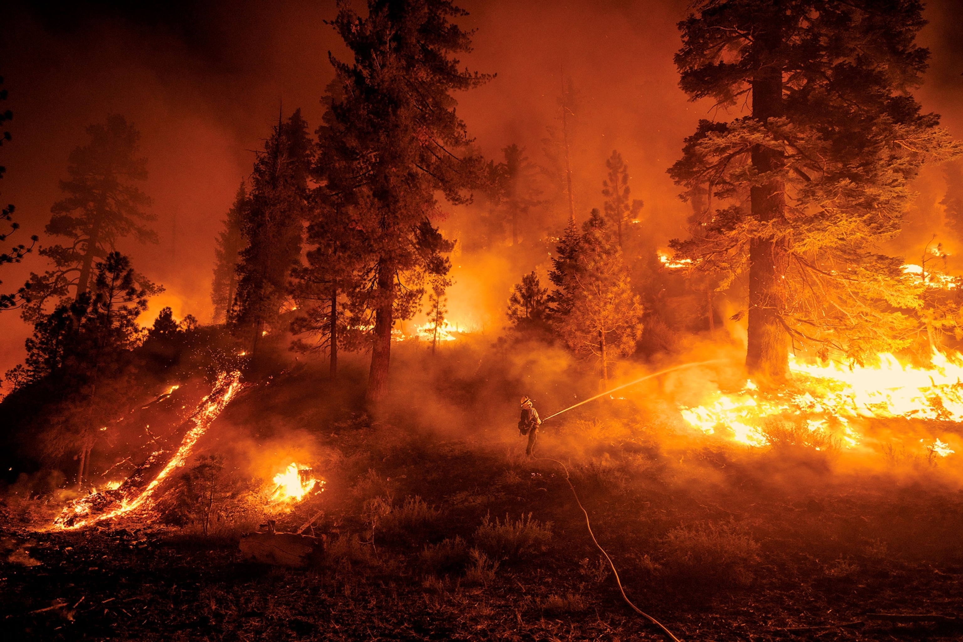 Fire engulfs a land of trees and grass and glows orange. A firefighter, small, appears near the center of the image with a water hose.