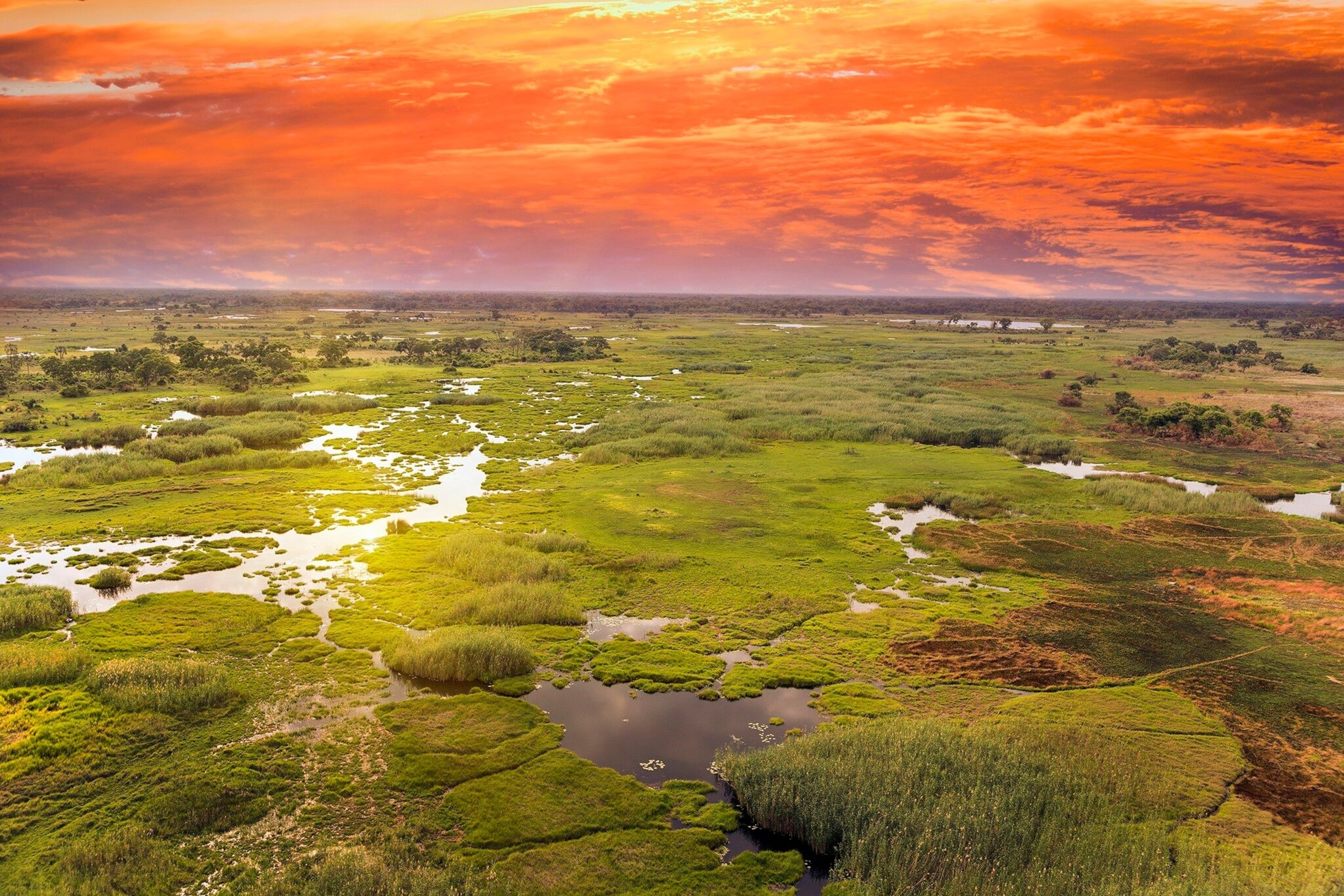 Floodwaters filter into the Okavango Delta and stretch vein-like over submerged grasslands.
