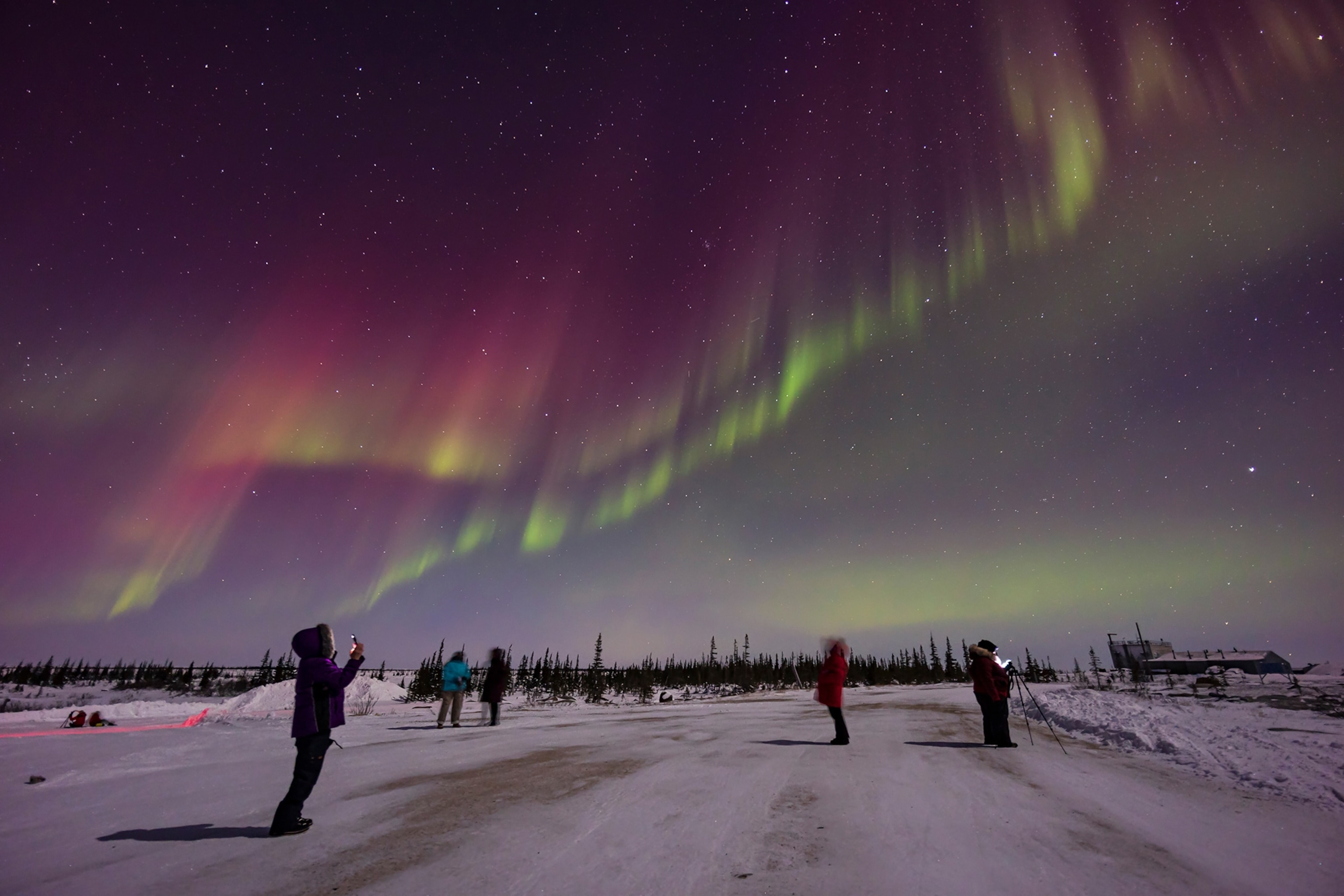 Aurora photographers look up at green and pink Northern Lights the night sky.
