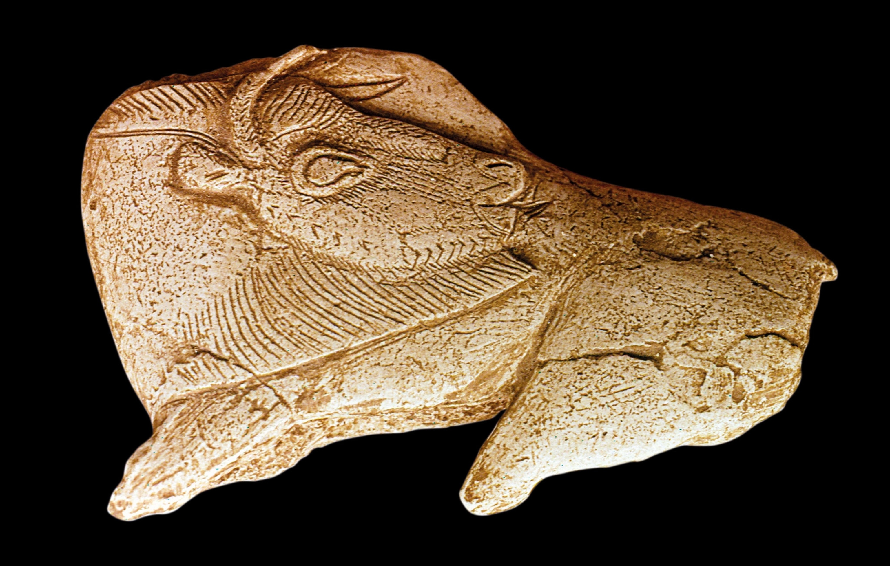 A bison sculpture carved into reindeer antler