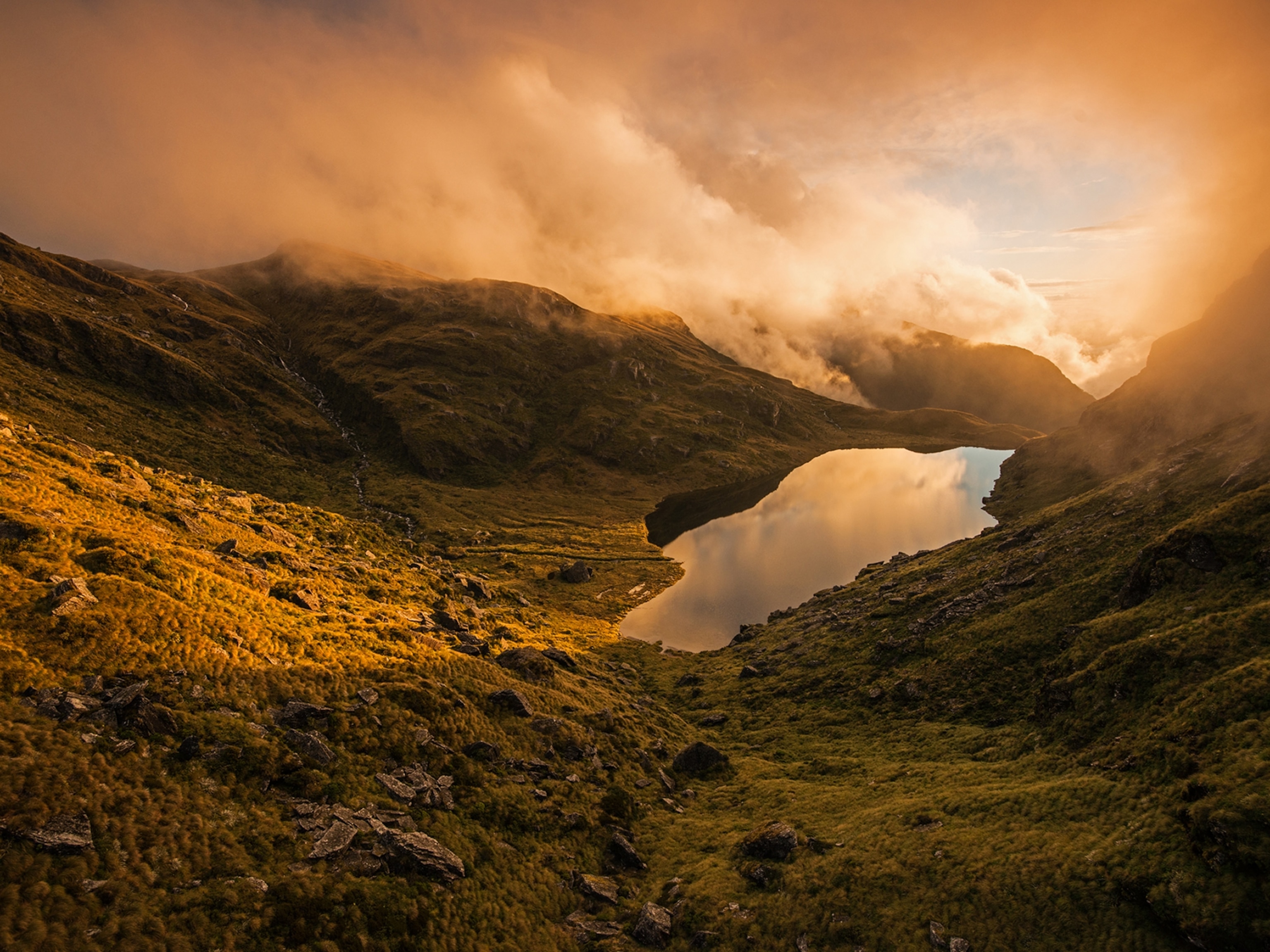 Alpine ponds