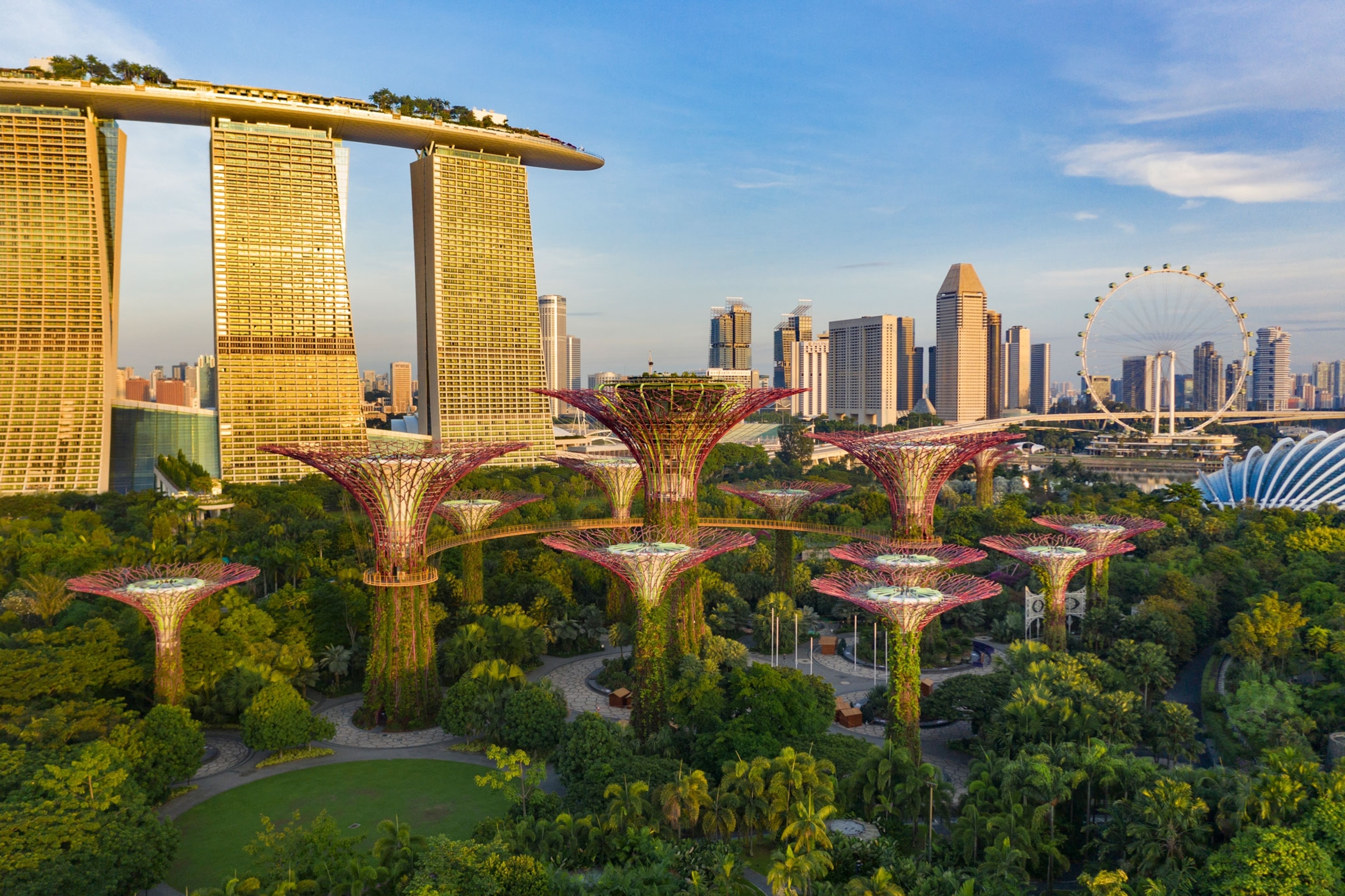 Plants climb the red trellises of the Super trees located in Gardens by the Bay in Singapore.