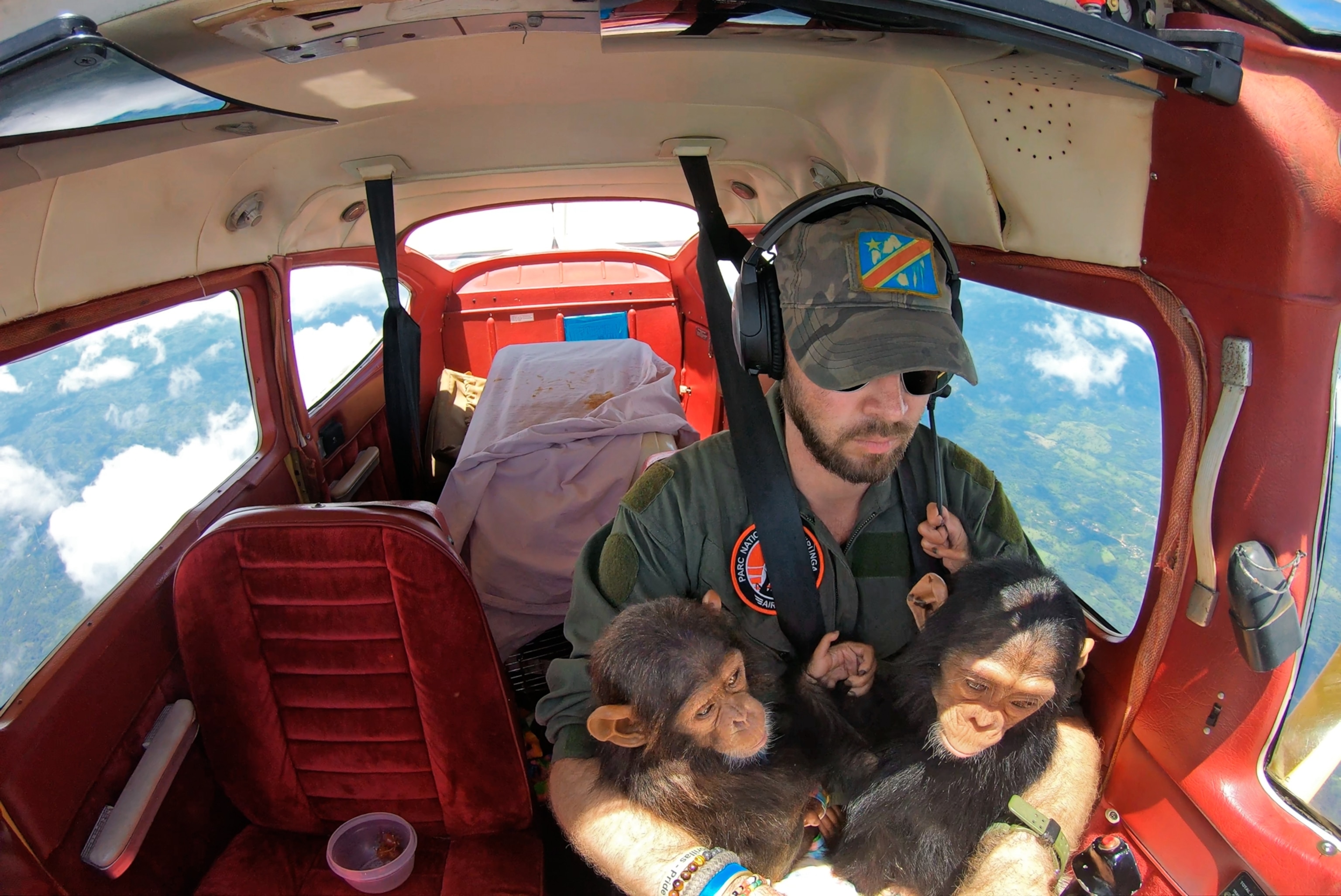 Picture of Virunga National Park pilot, Anthony Caere, flying a plane with two chimps in his lap.