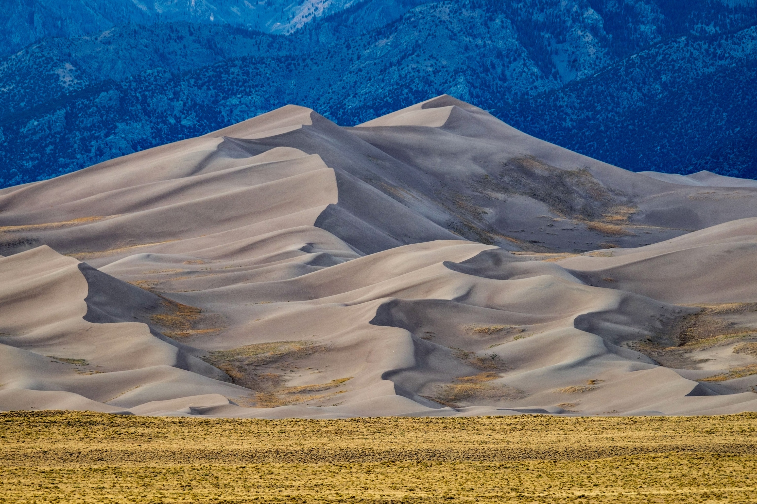 sand dunes in Great Sand Dunes National Park, Colorado