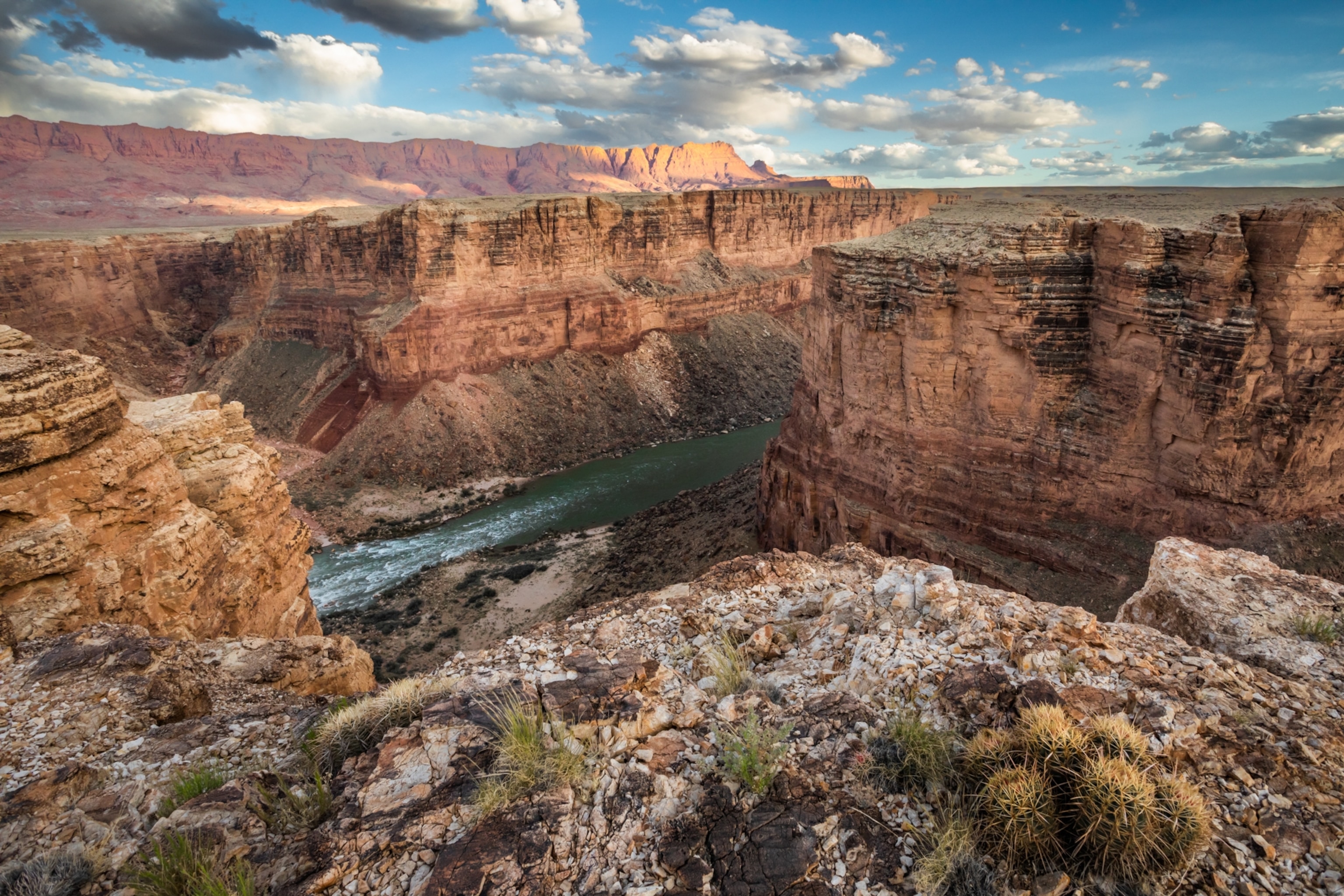 A section of the Colorado River carving through the Grand Canyon.