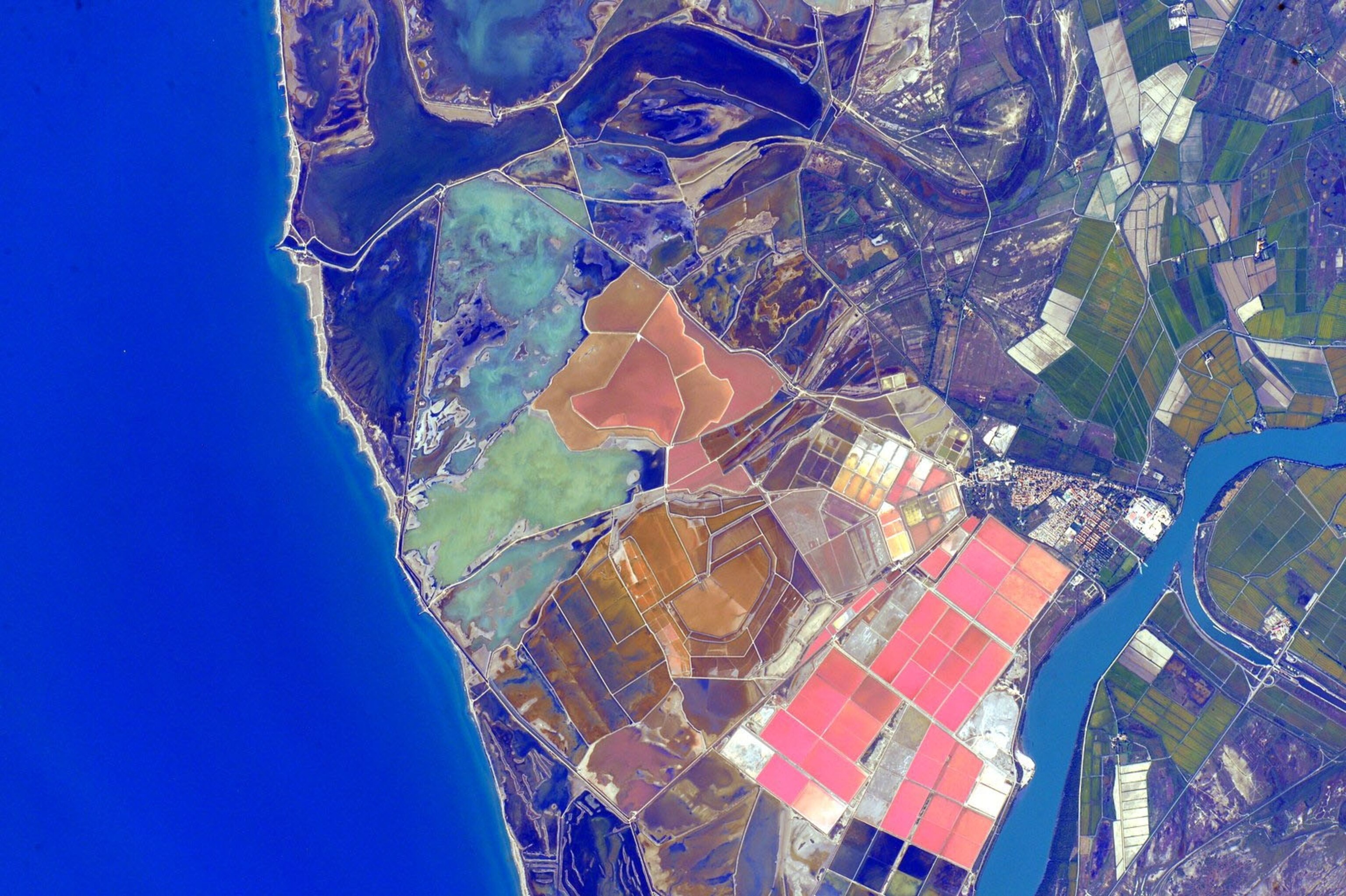 the aerial view of green, pink, and blue colors of land in a coastal region