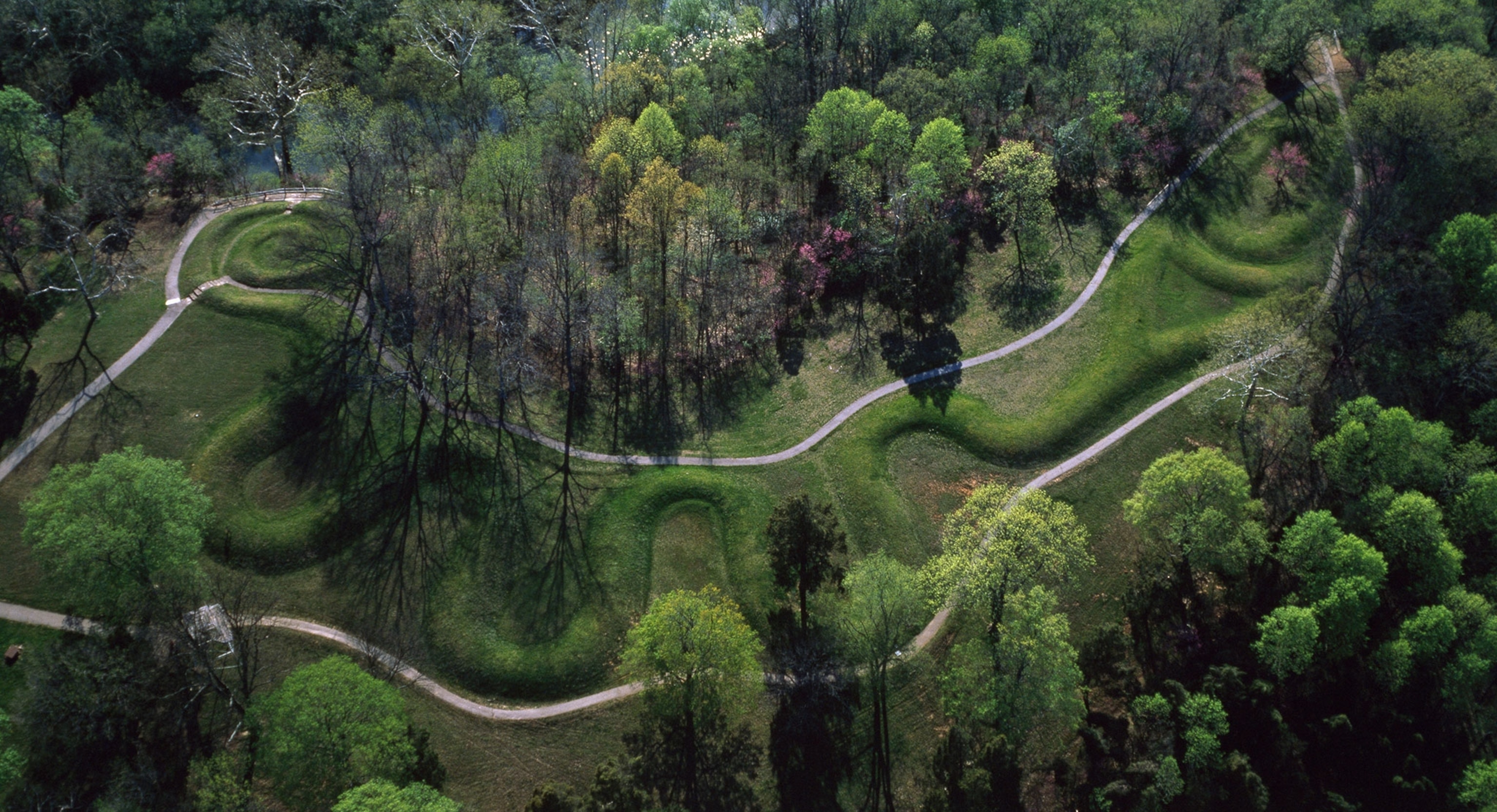 An aerial view of green trees, and green grassy field with mounds of grass popping up from the field in the shape of a snake.
