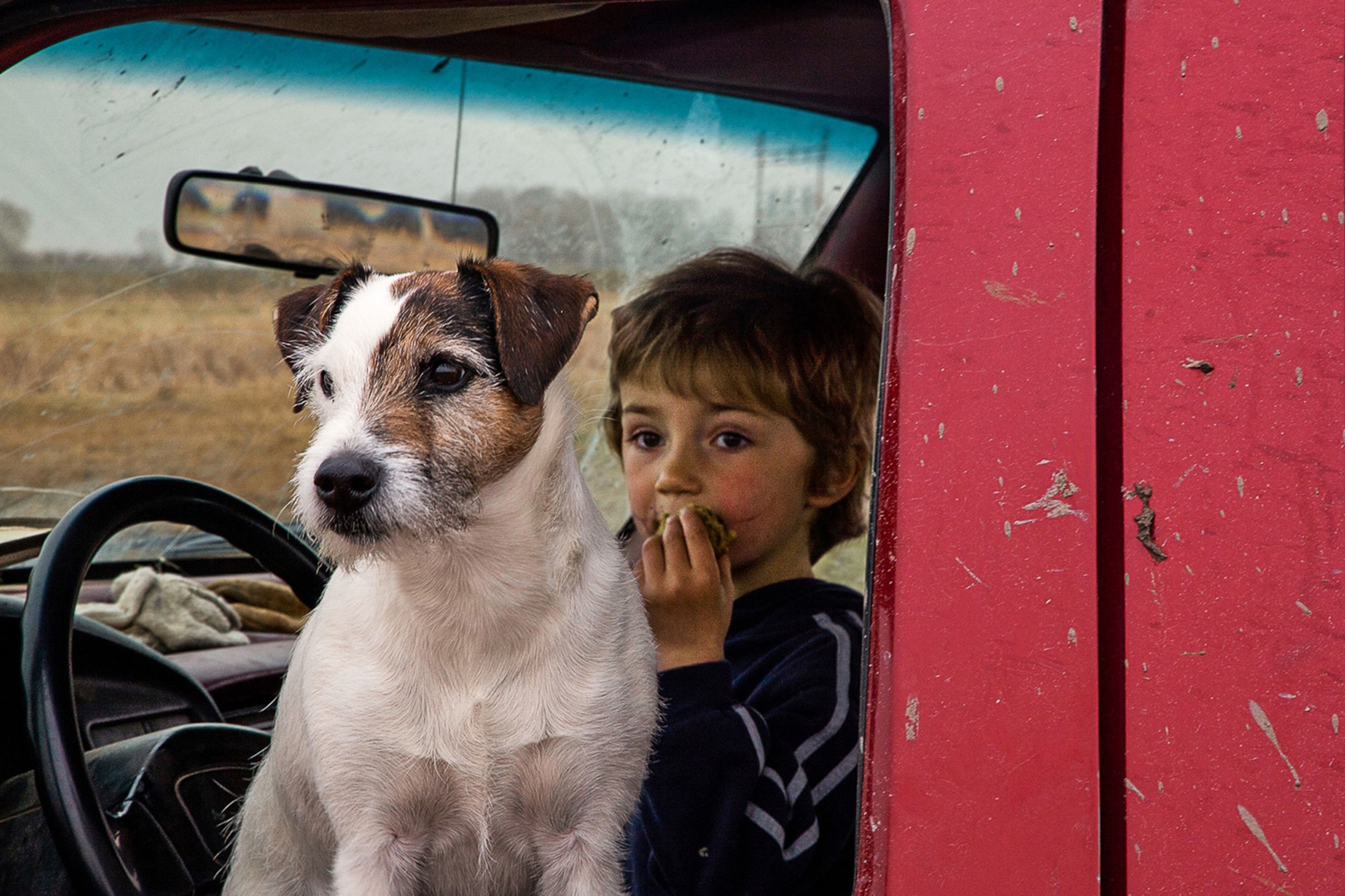 child and dog