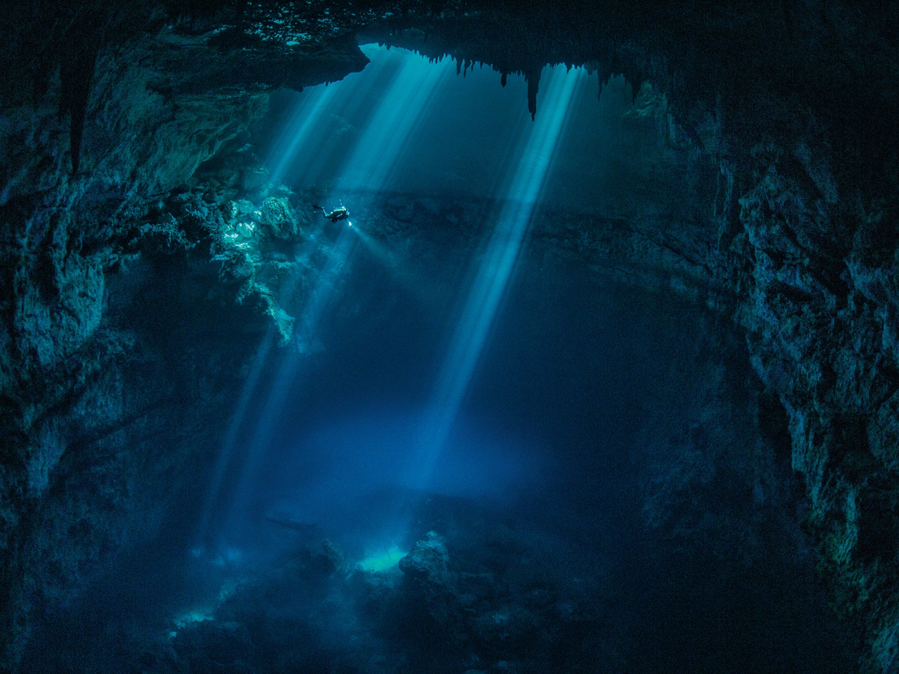 a diver exploring a cenote near Tulum