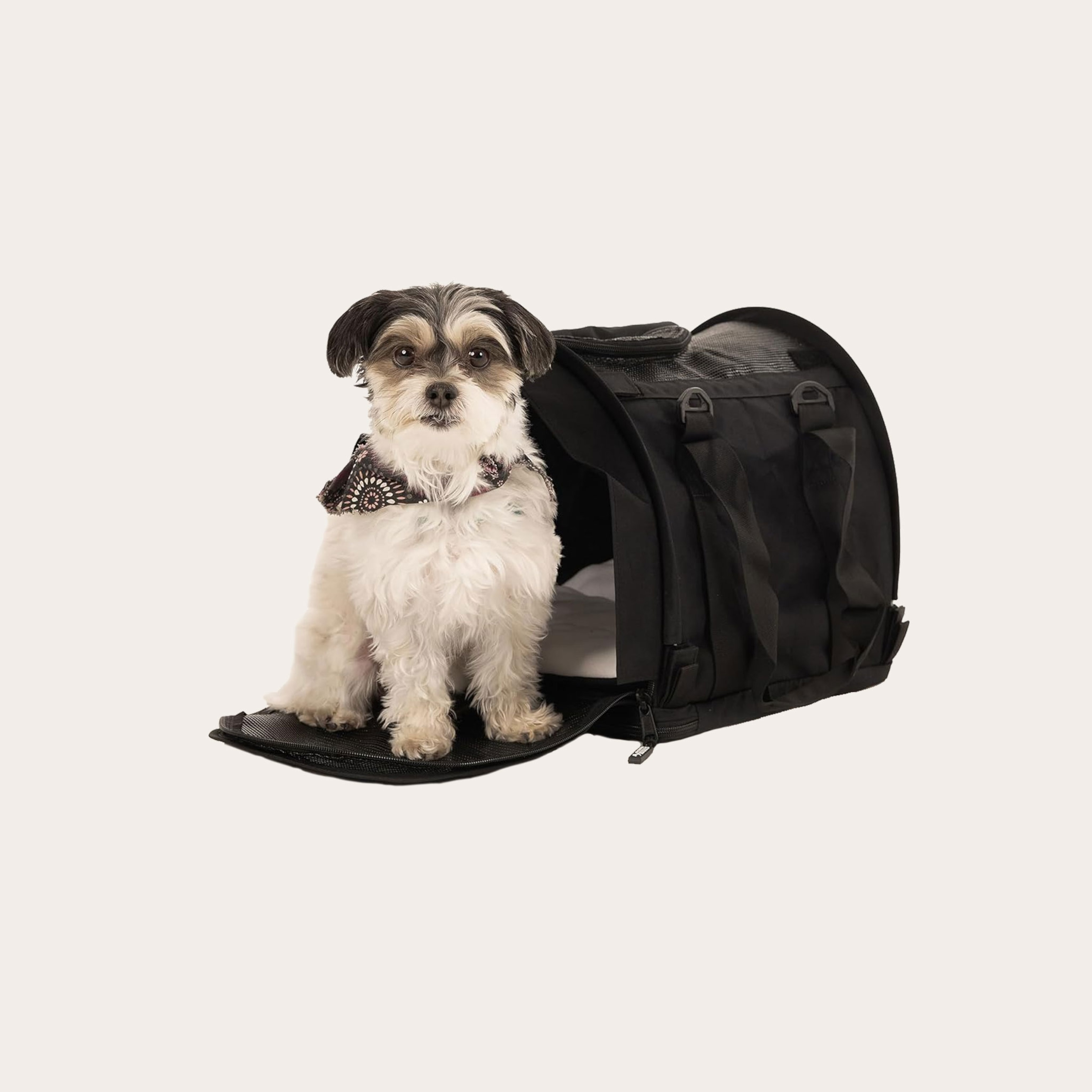 An image of a pet carrier.