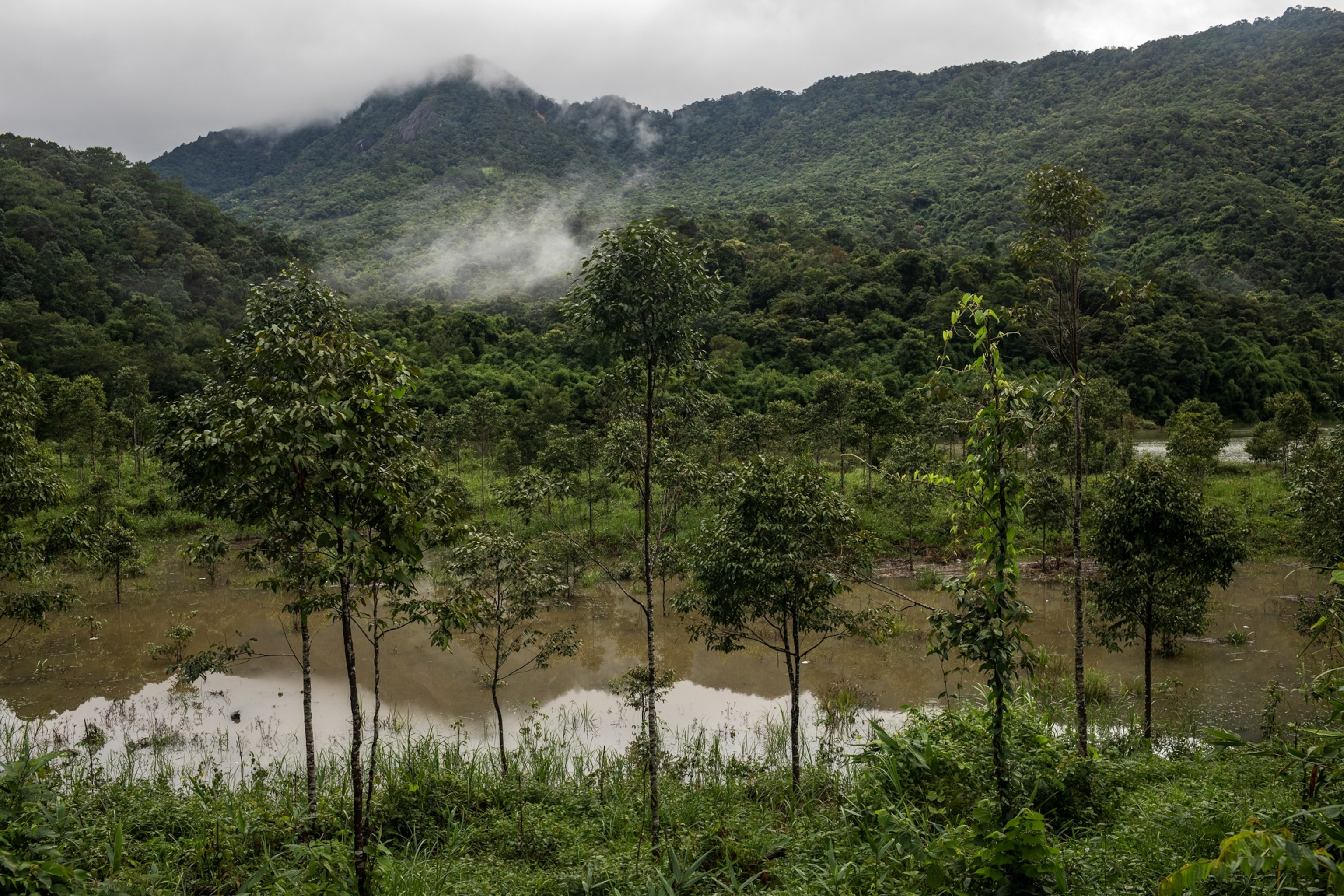 landscape with small lake and tropical forest covering mountains.