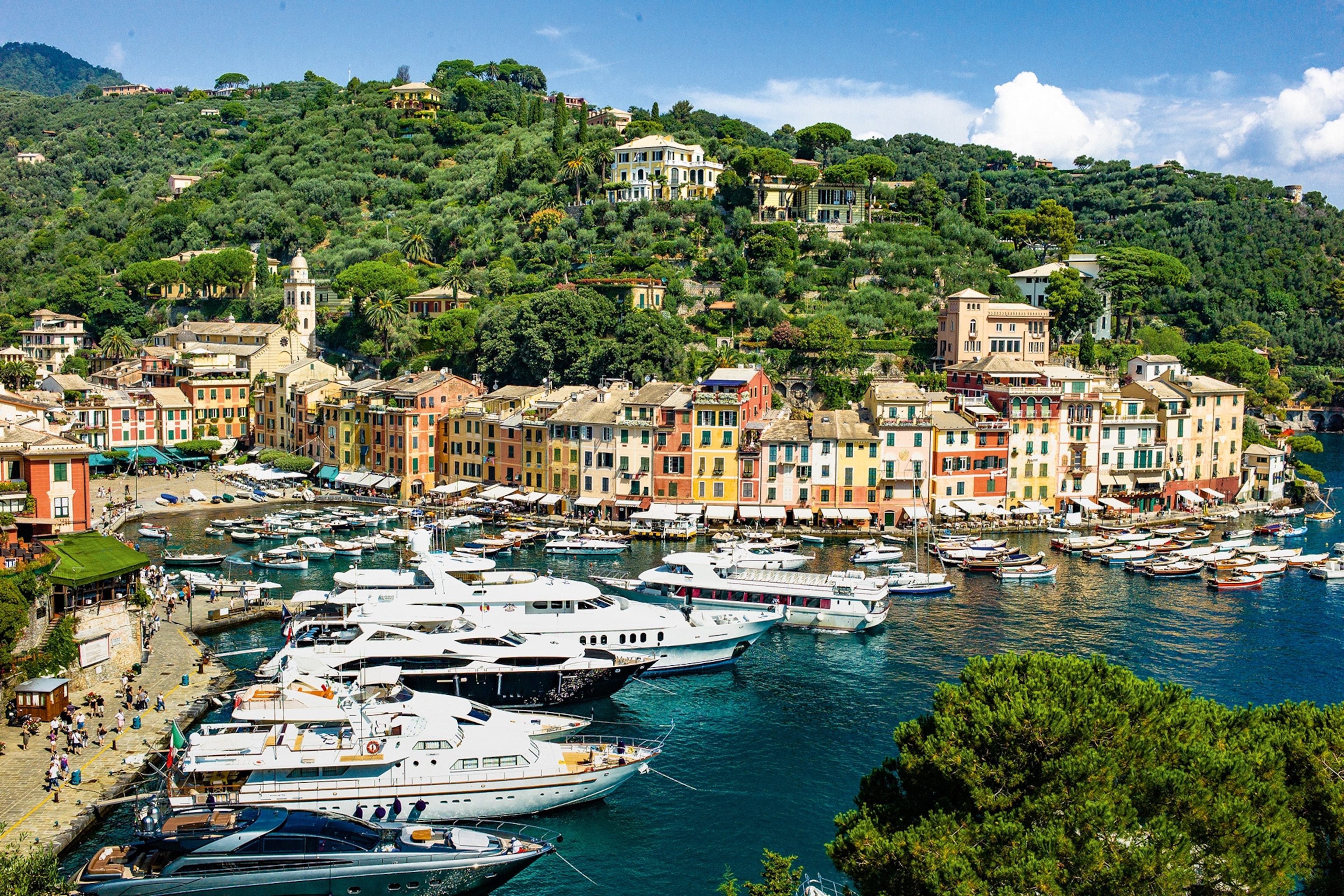 Yachts and coloured houses positioned around a bay