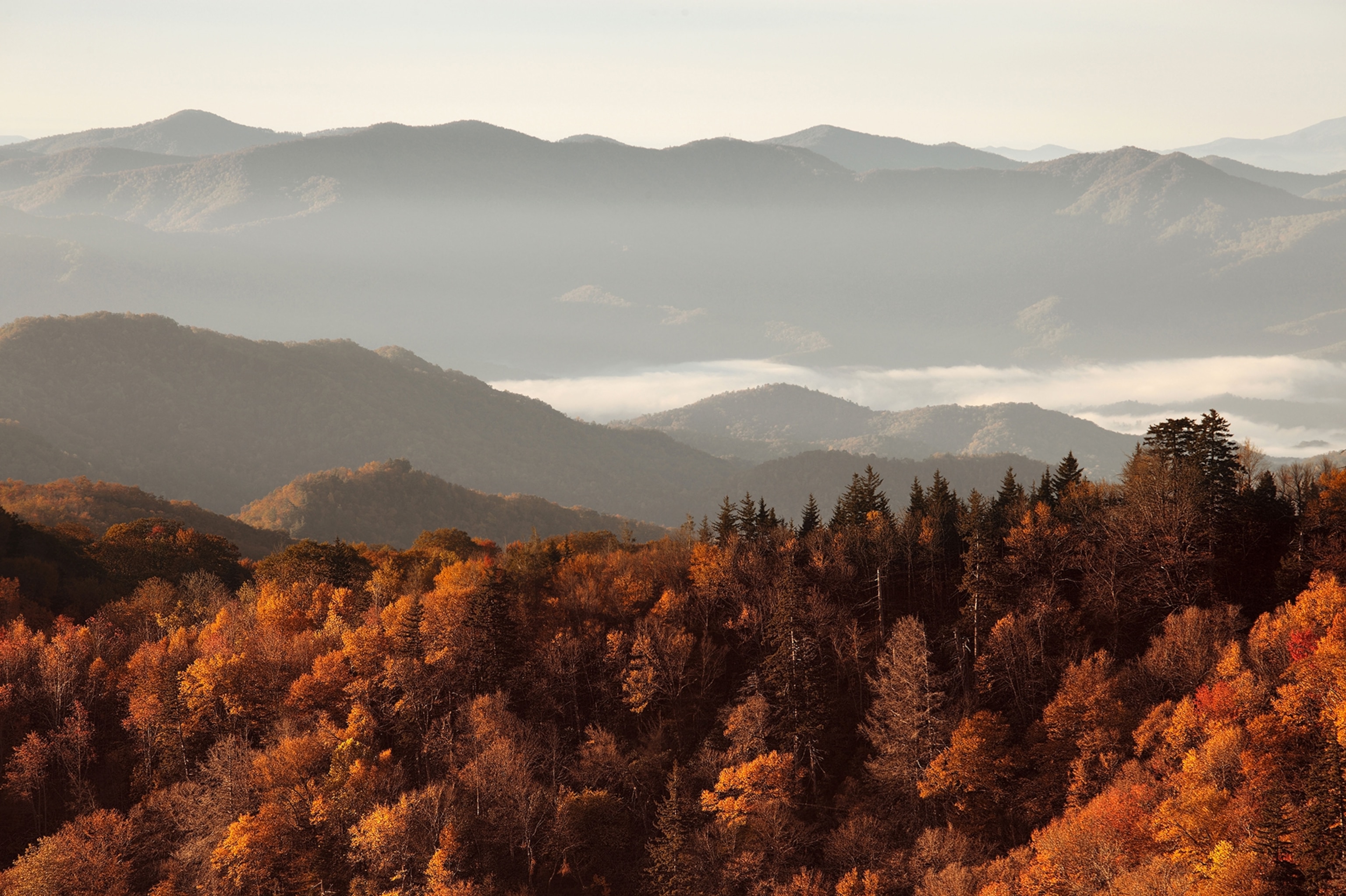 autumn leaves and peaks in Great Smoky Mountains National Park