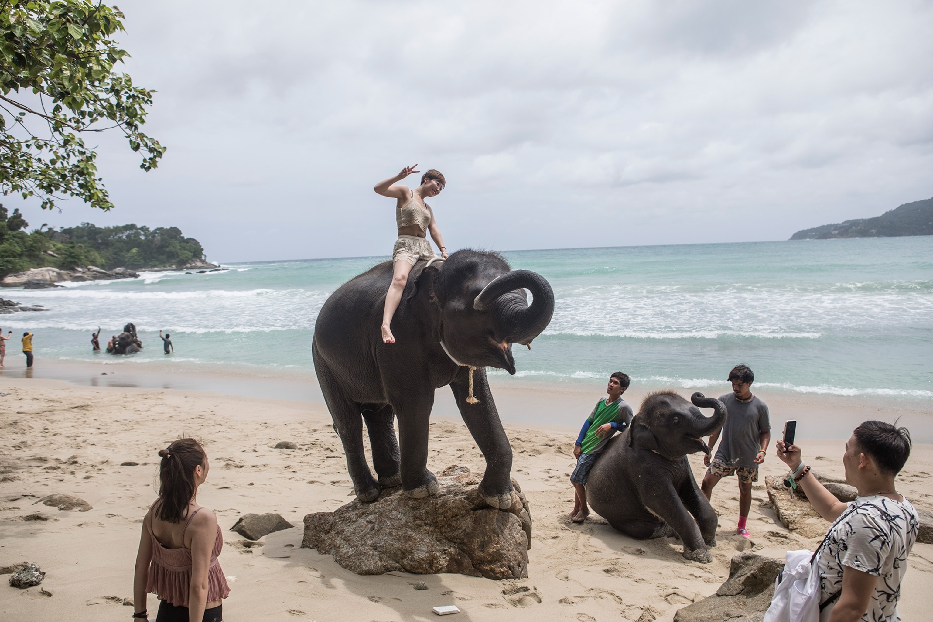 Tourist sits on top of elephant and takes picture.