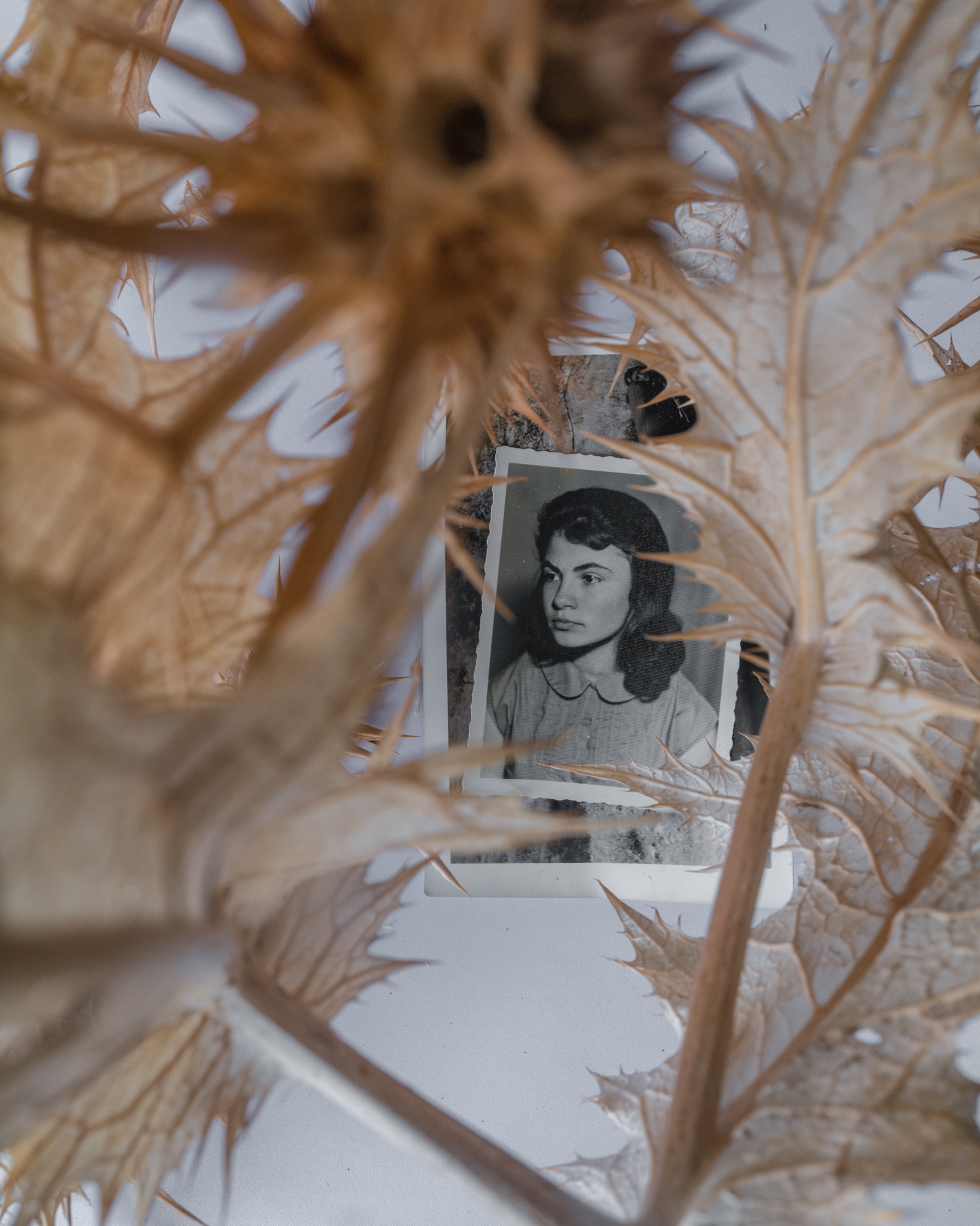 Beige flowers with spiked edges frame a printed black and white photograph of a woman looking off camera.