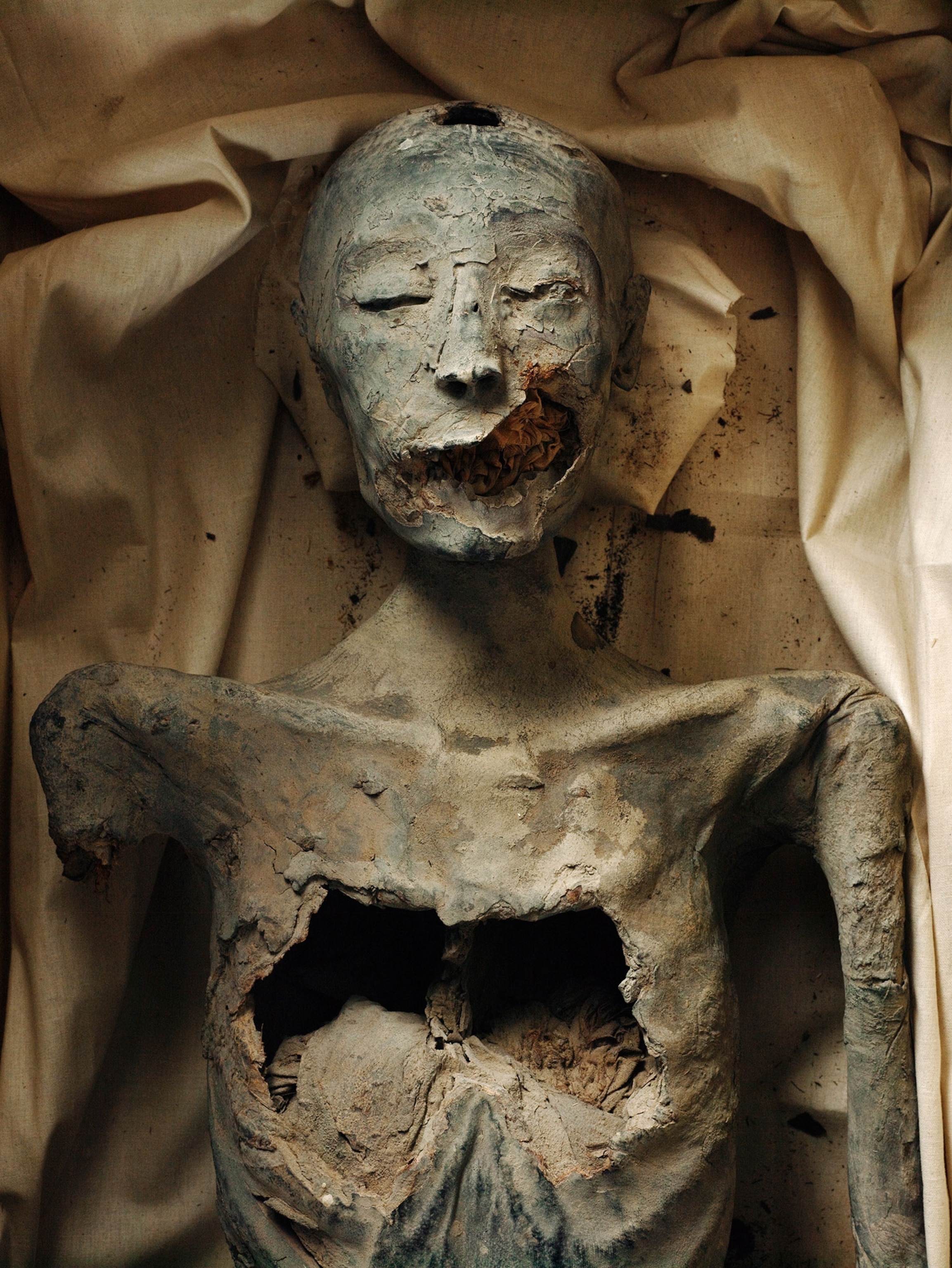Younger Lady the mother Tutankhamun