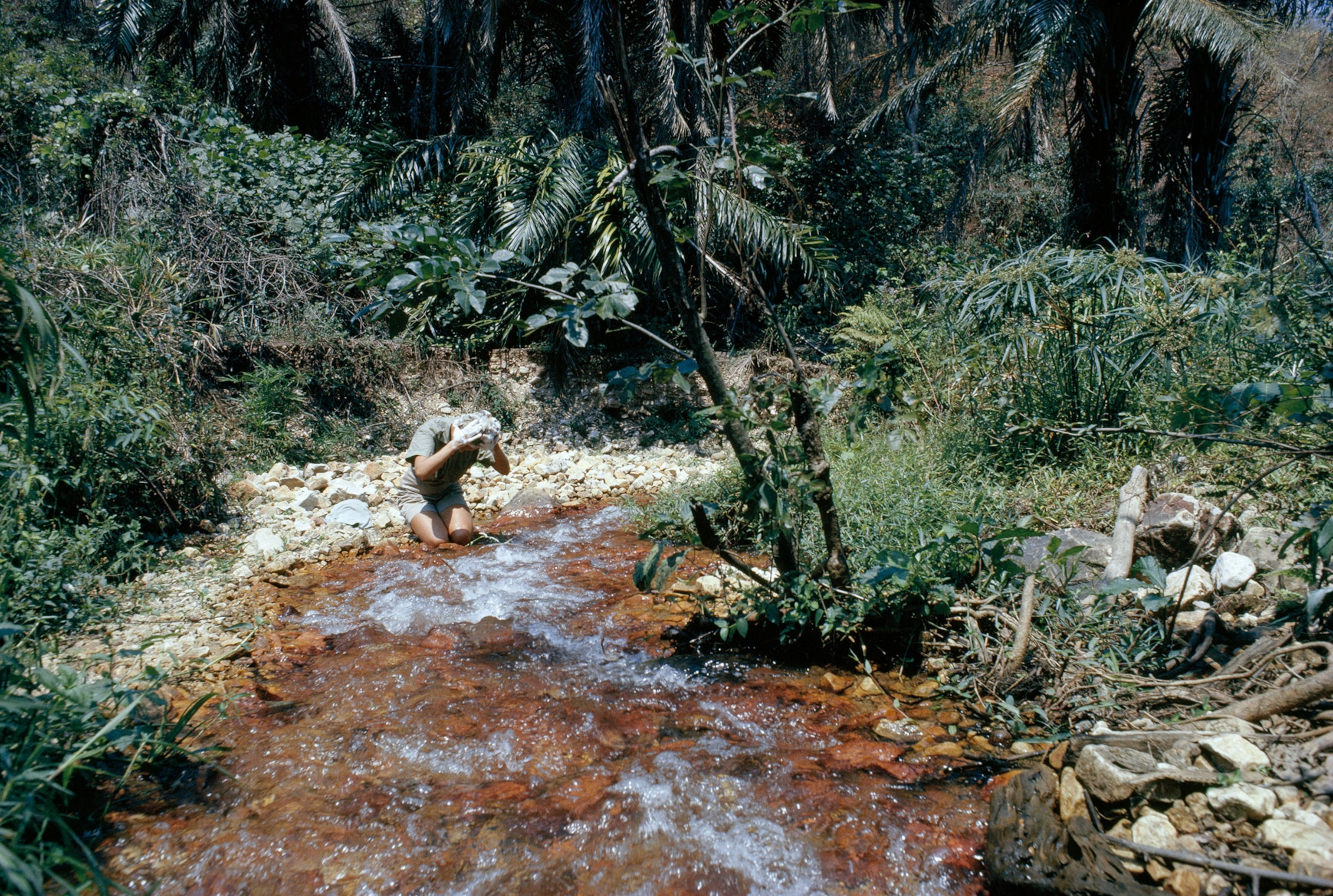 Jane Goodall washing her hair in a stream