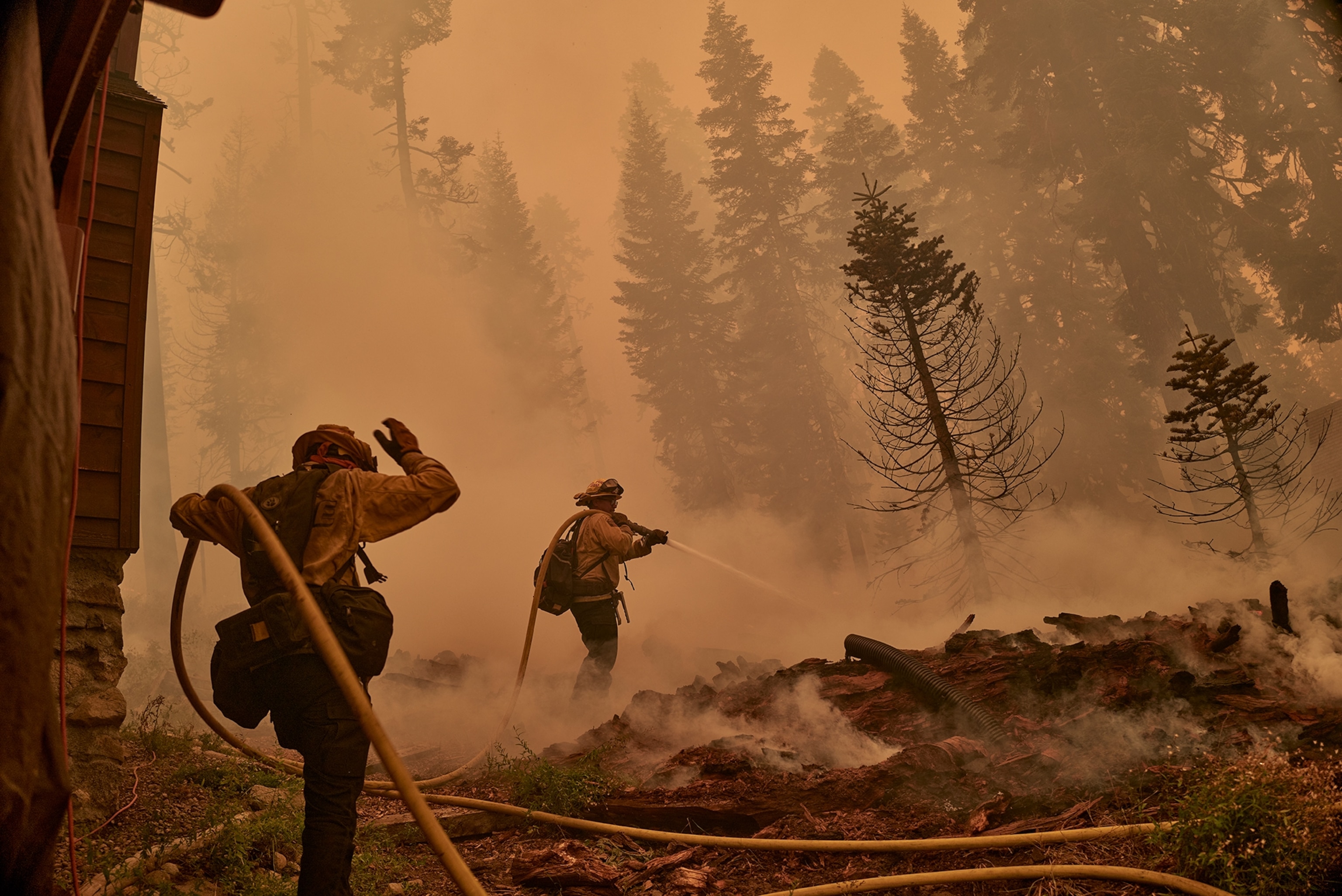 Fire fighters spray a forest area with water plumes of smoke cover the floor.