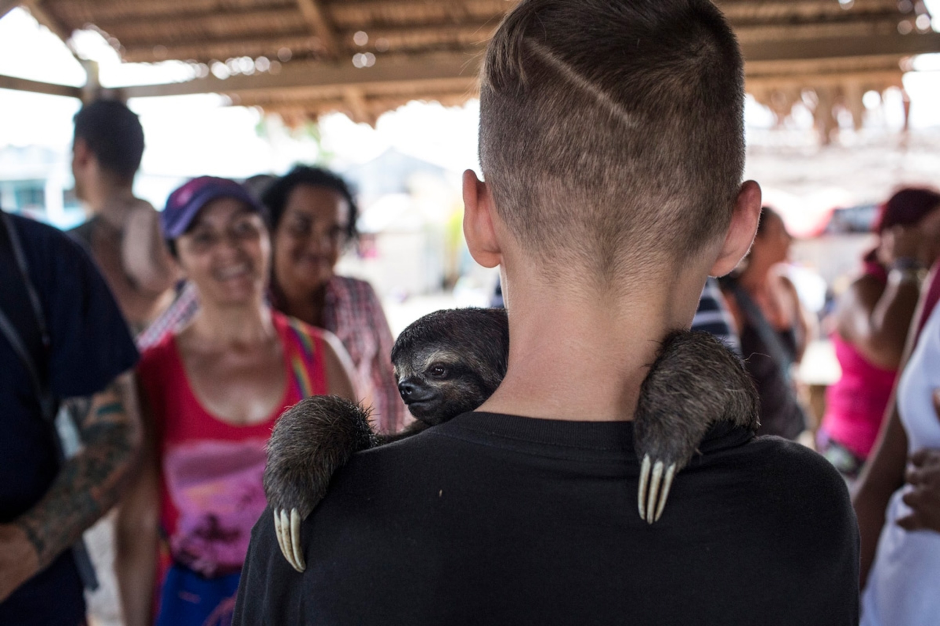 Wild animal selfies on social media might make kids squeal with delight, but the critters—like this sloth in Peru—are often kept illegally for tourists to handle and might be living in unhealthy conditions.