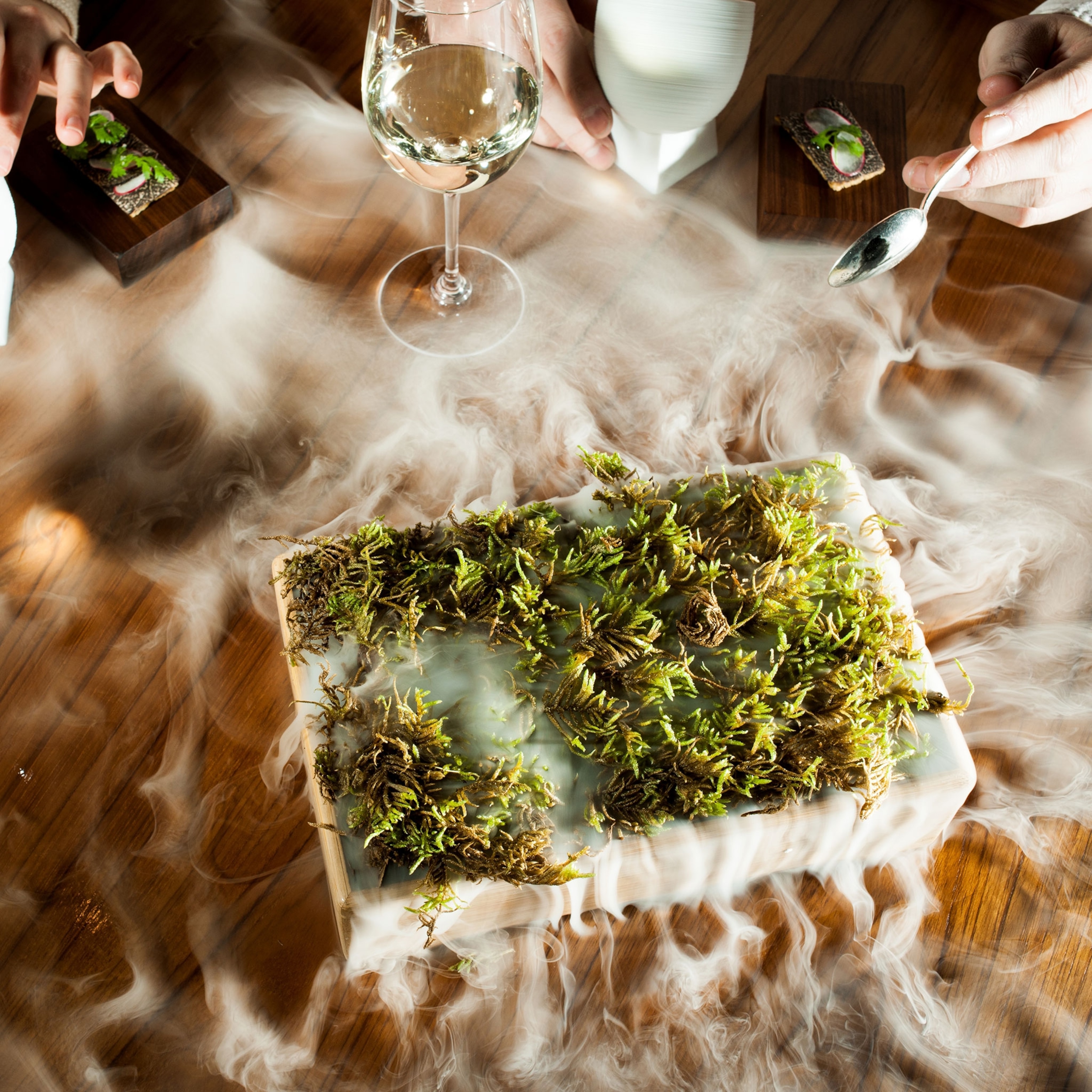 A box of oak moss with a cloud of moss-scented steam on a dinning table.