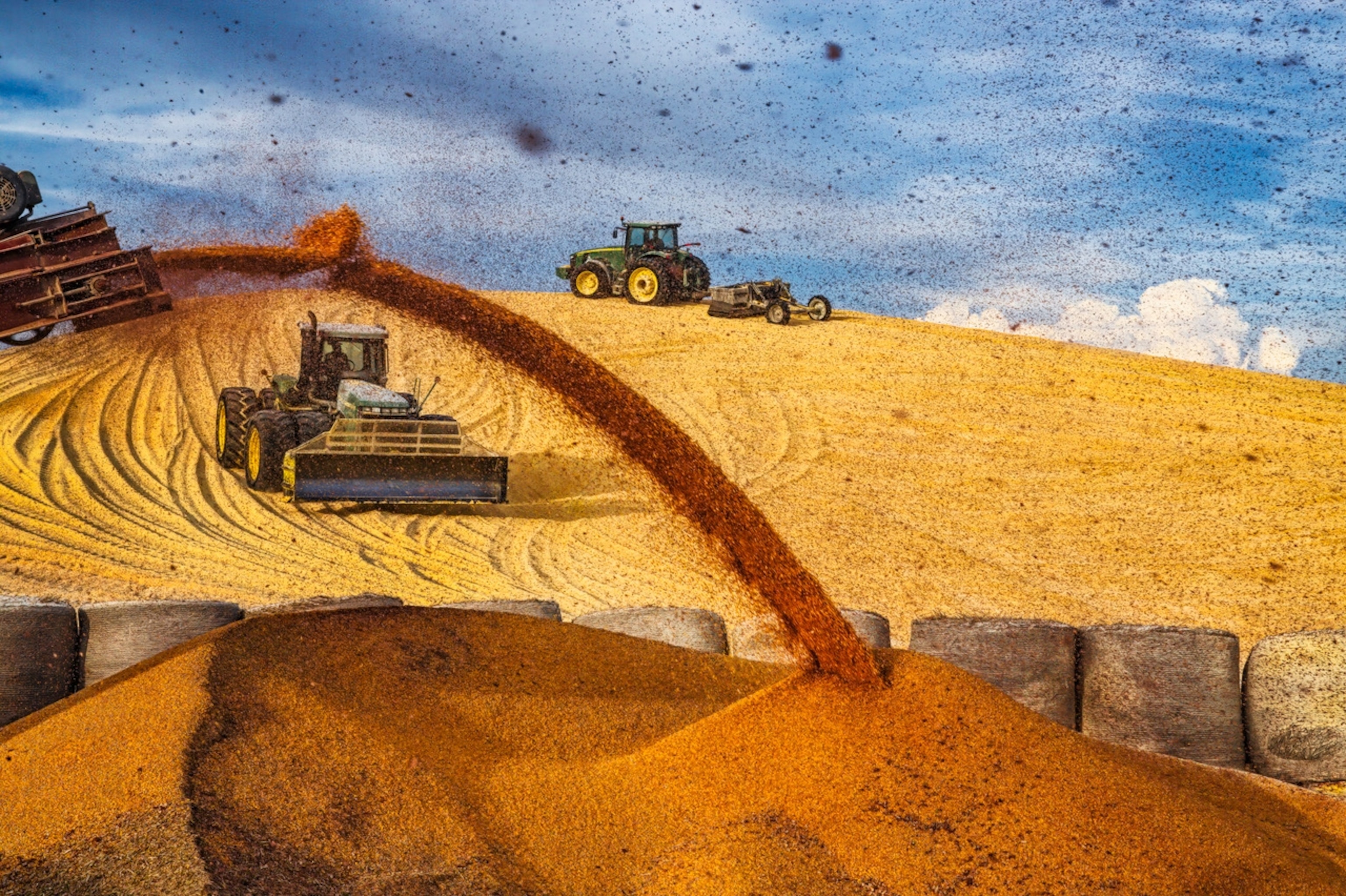 Tractors pack down a giant mound of corn at a feedlot