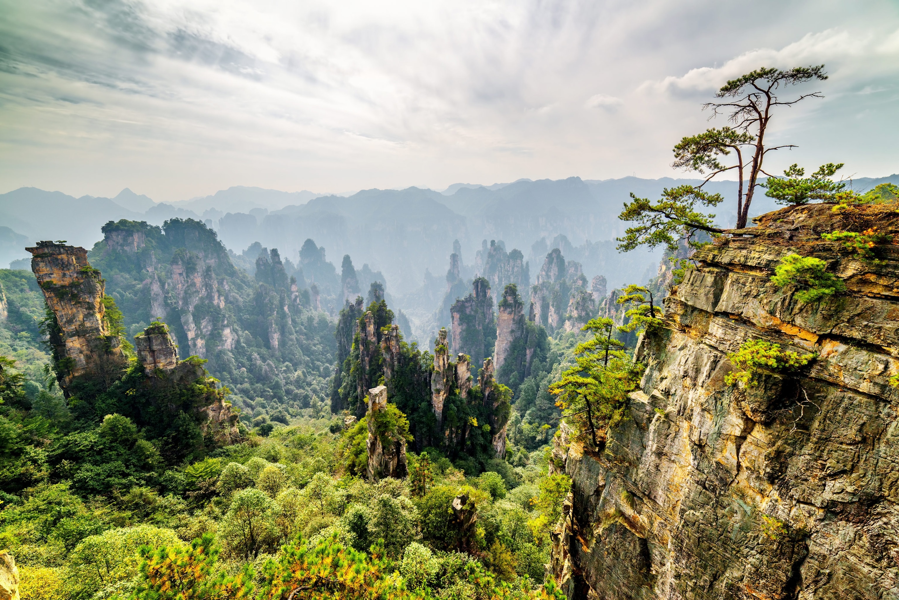 rock pillars of the Tianzi Mountains in the Wulingyuan region of China