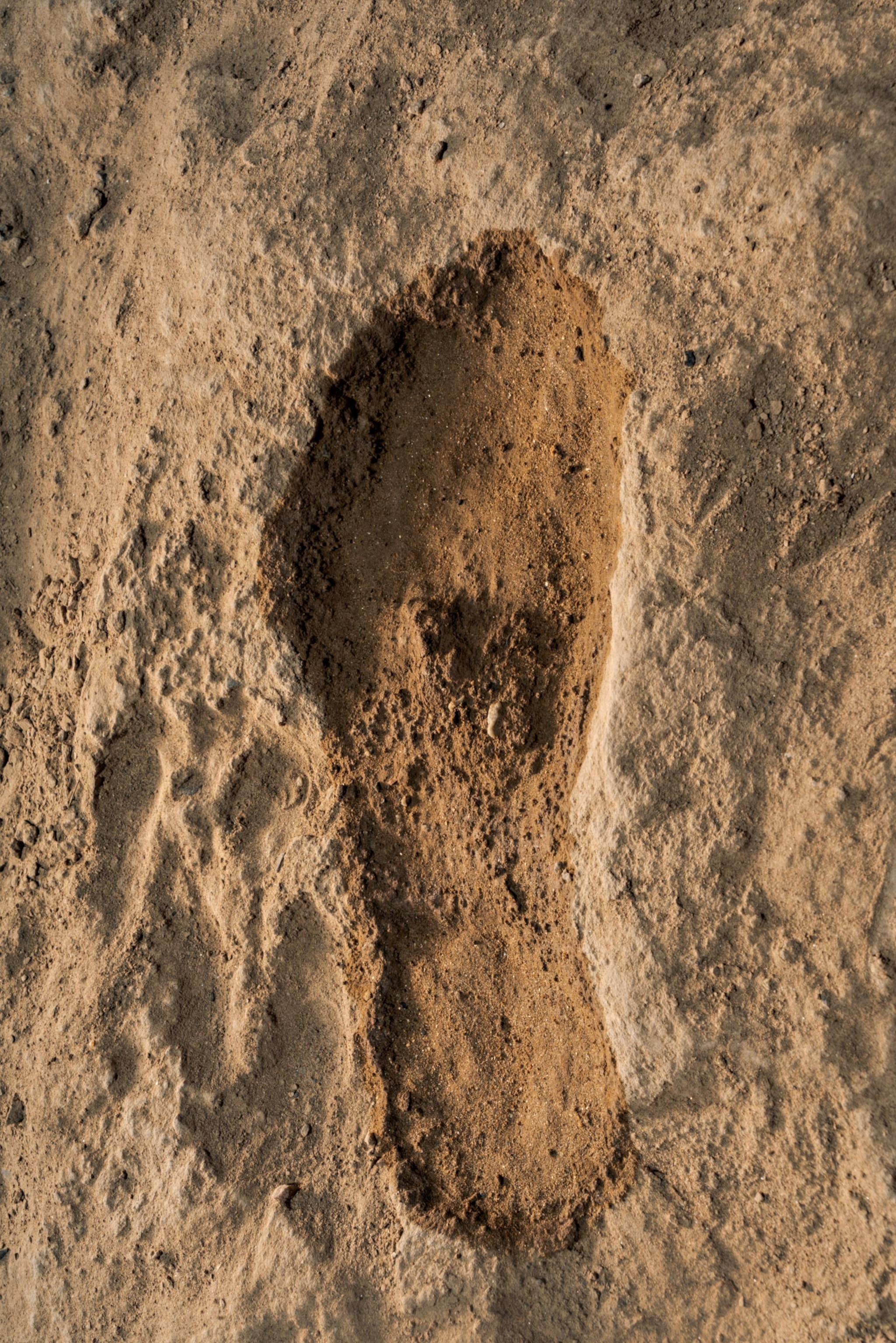 A deep indent in the earth reveals a footprint.