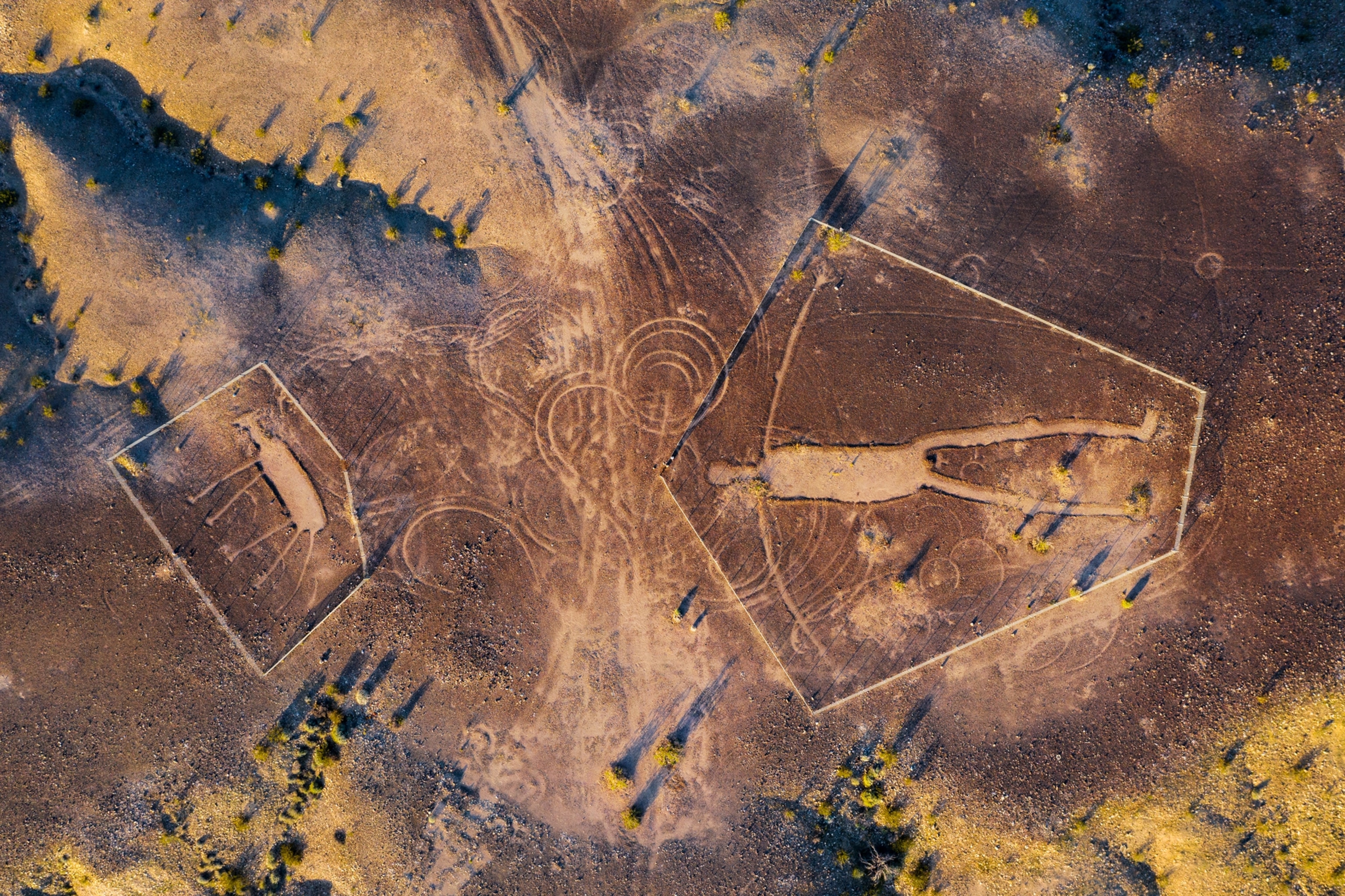 Aerial view of group of gigantic figures incised on the ground.