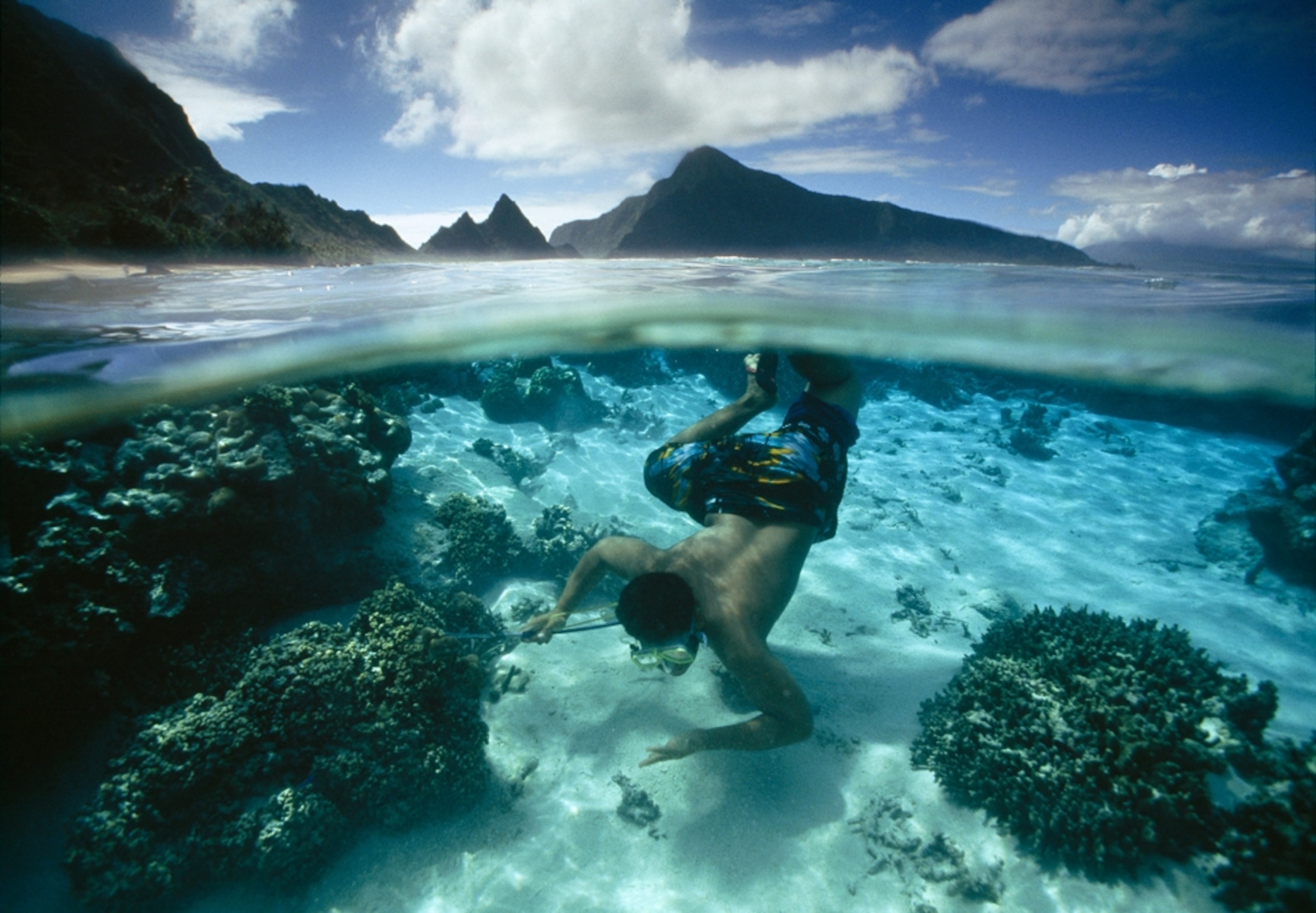 A diver explores a reef in the National Park of American Samoa.