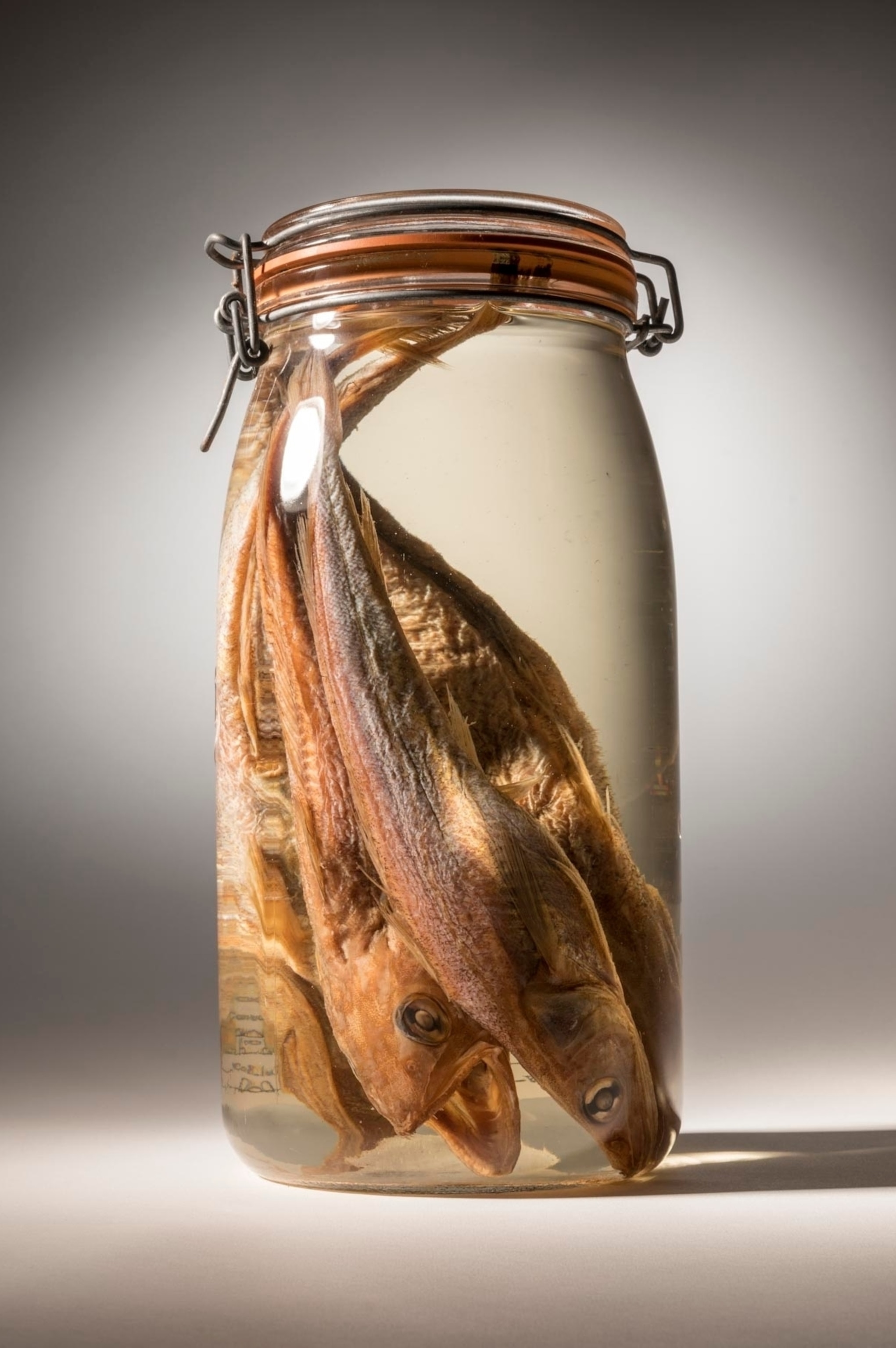 offshore silver hake in a jar