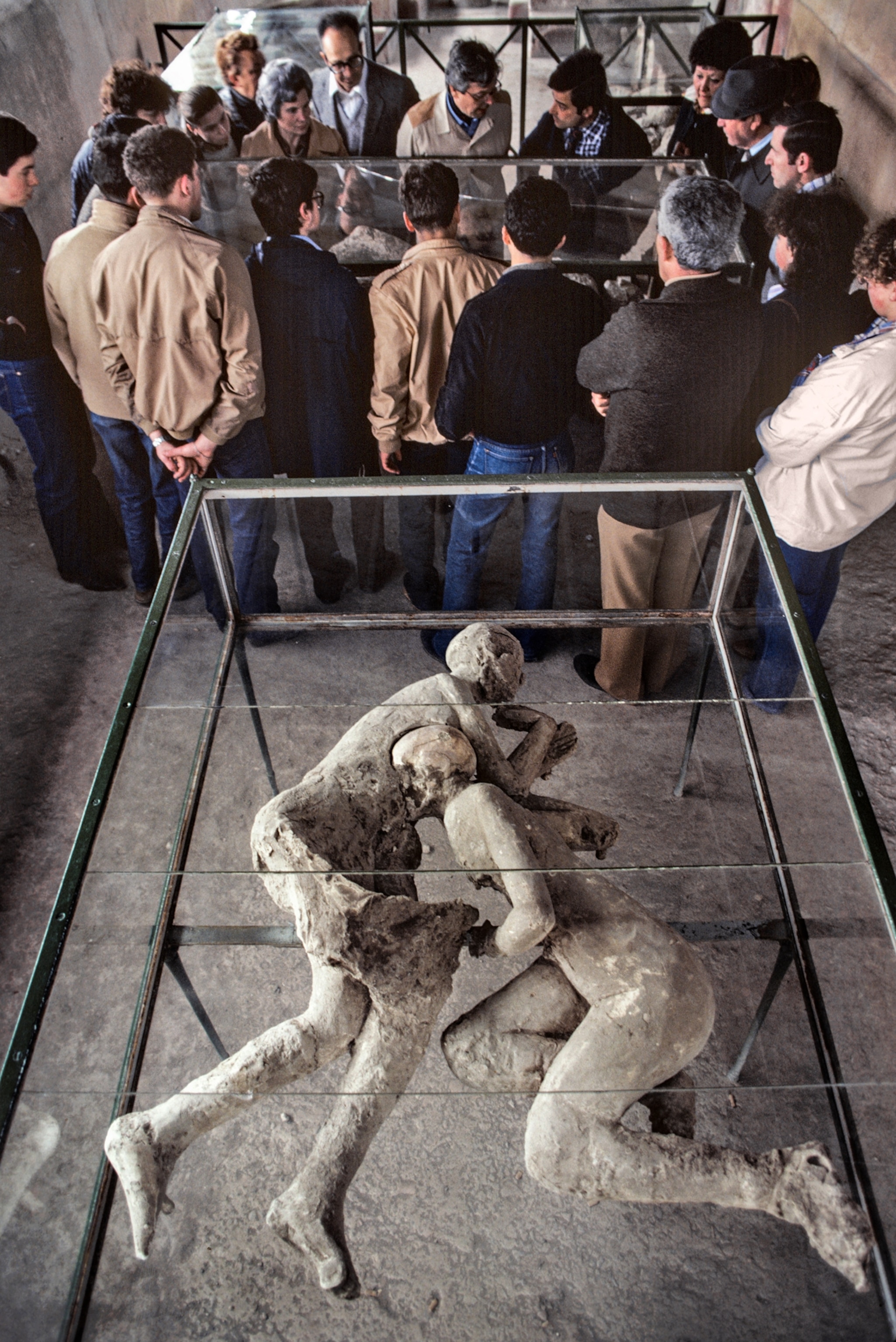 Picture of casts of two human bodies in glass display.