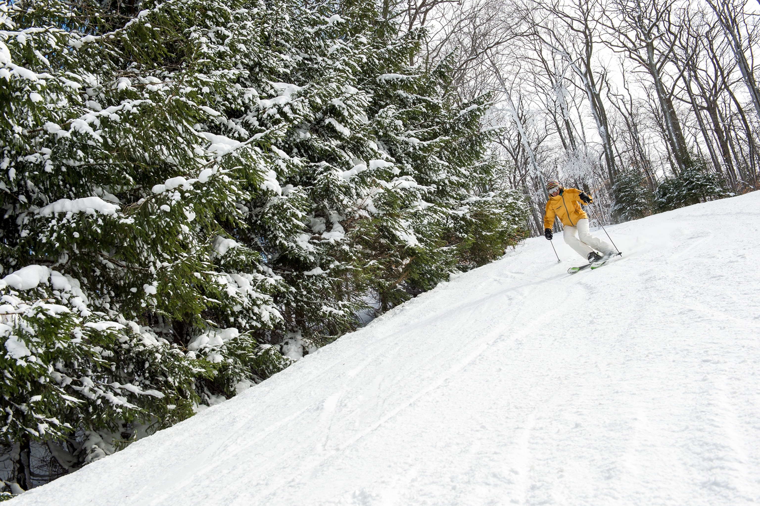 A man in a yellow coat on skis.