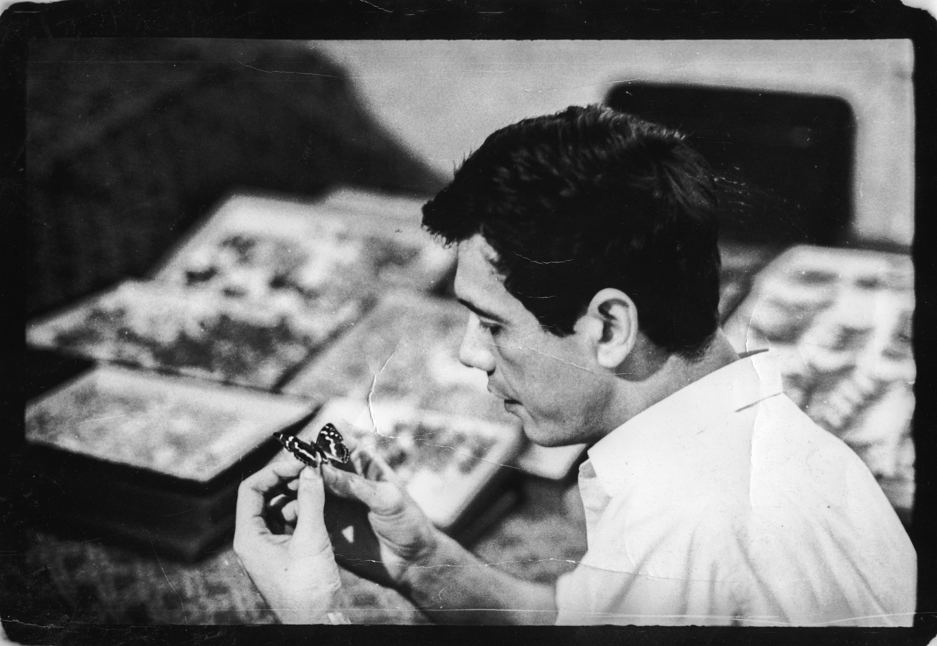 A man holds a dead butterfly in his hands.