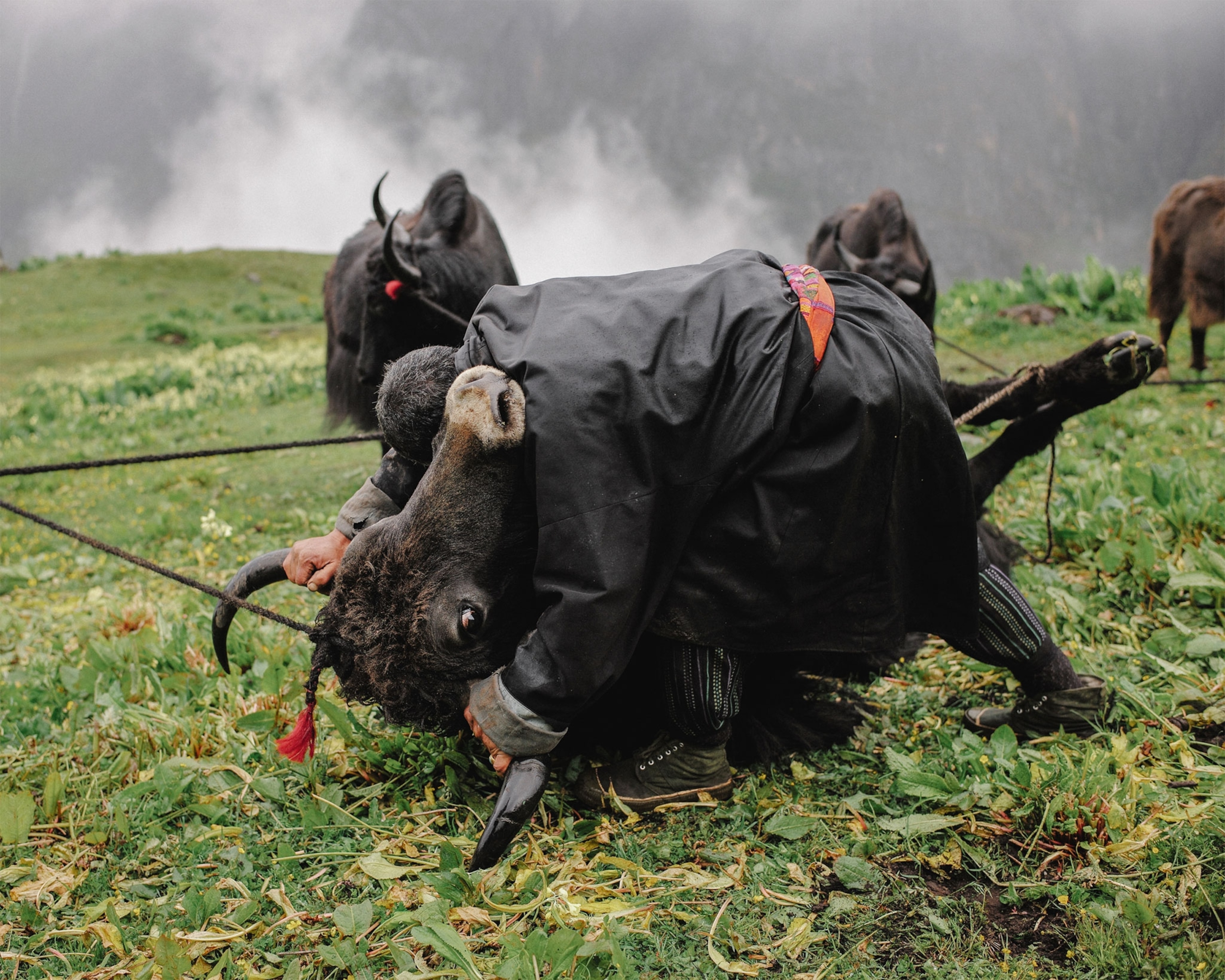 people in the mountains of Bhutan