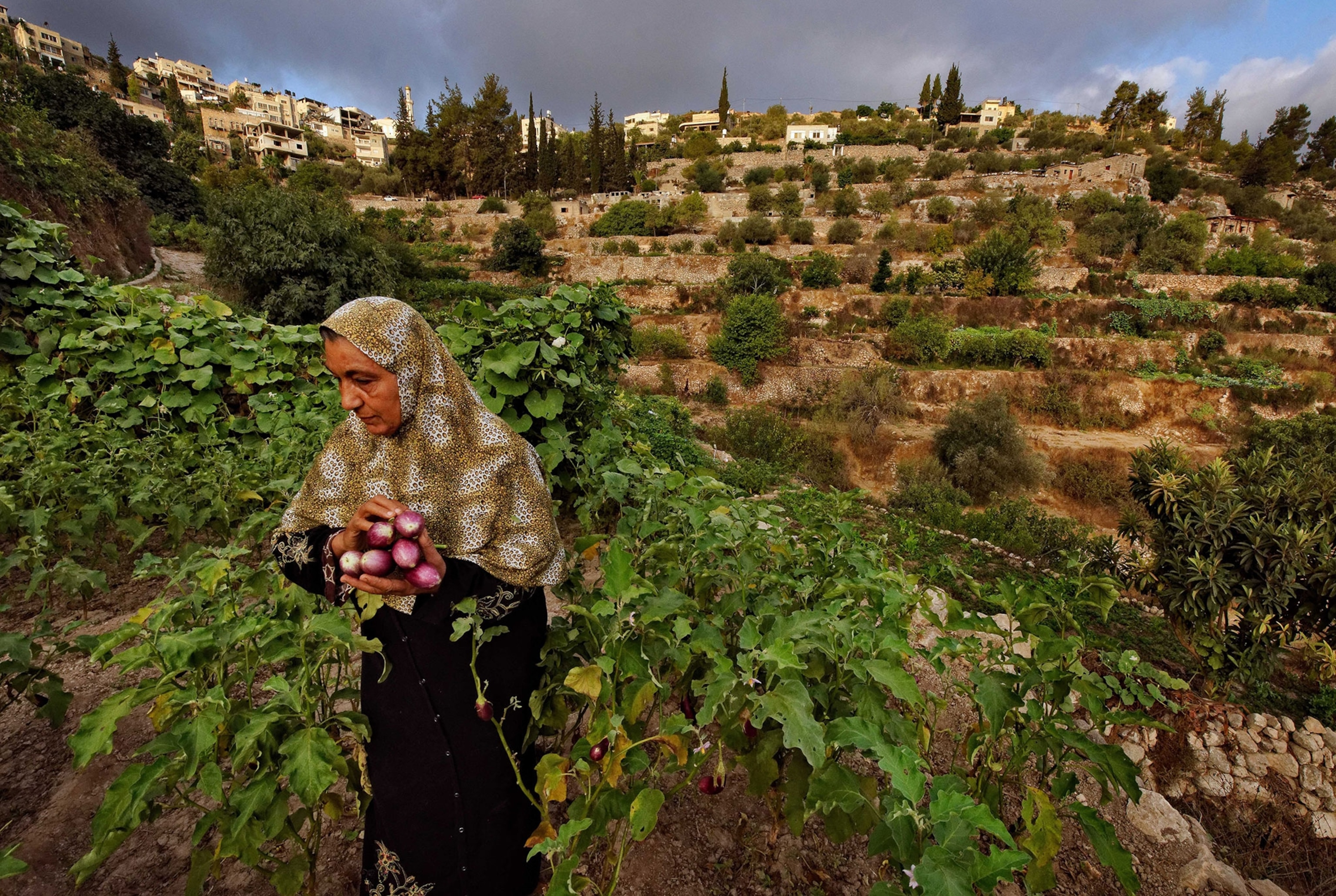 Battir