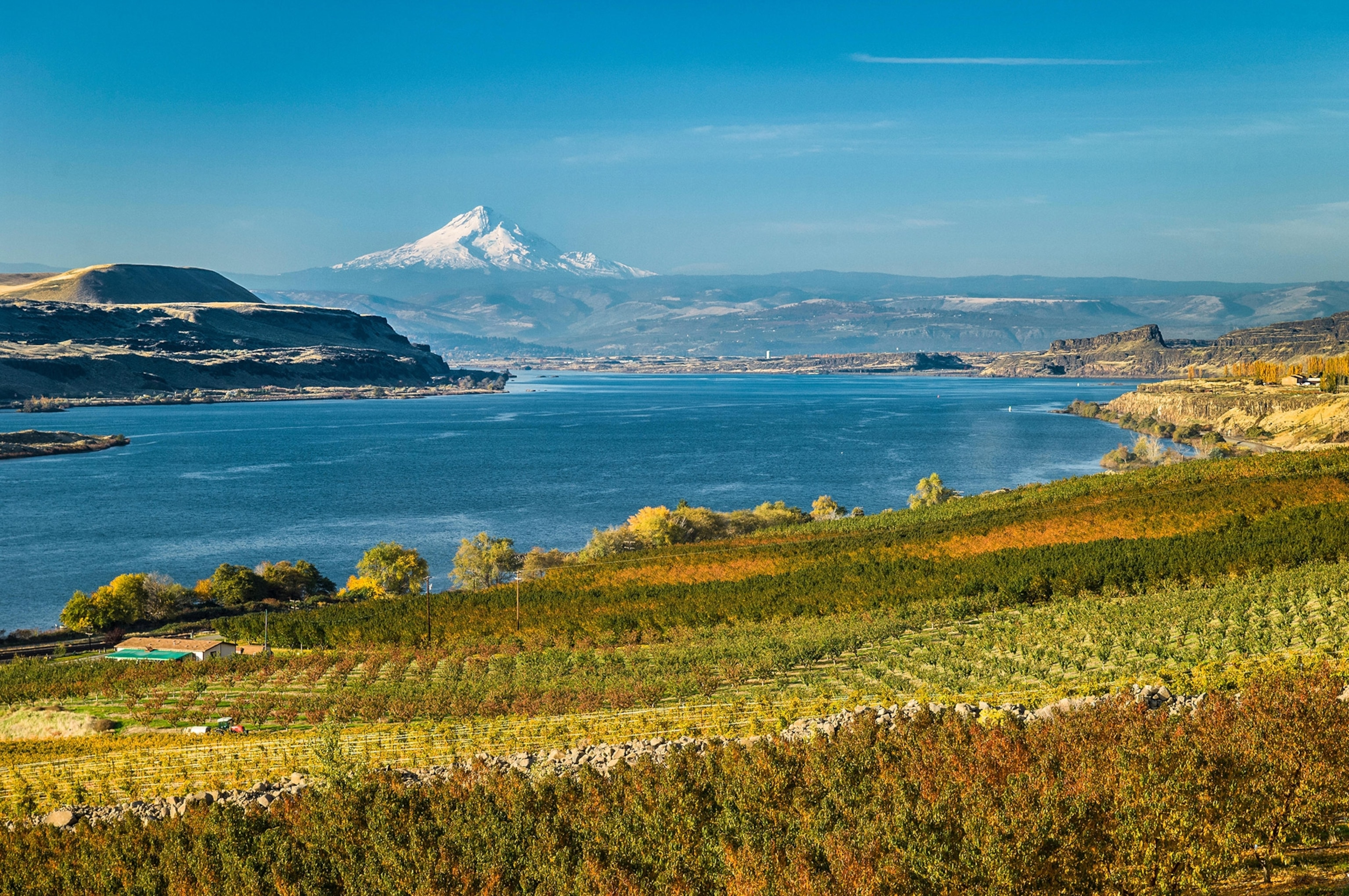 Orchards and vineyard near Wishram, Washington, looking down the Columbia River towards The Dalles and Mount Hood