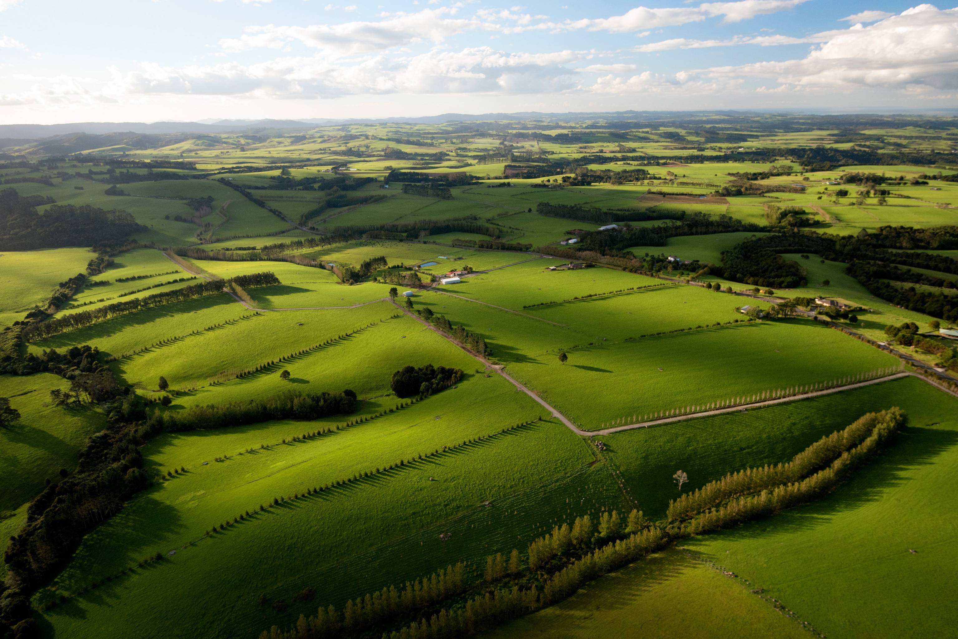 aerial view near Kerikeri in Northland, New Zealand